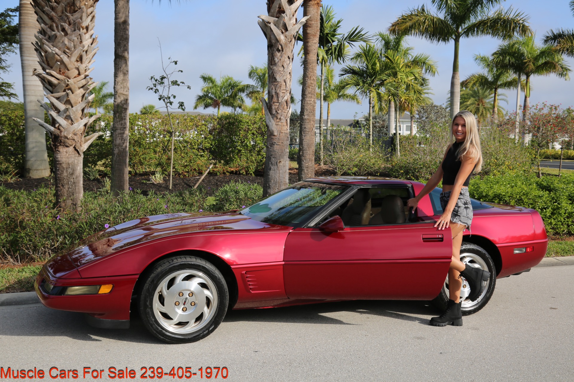 Used 1995 Chevrolet Corvette 57000 Miles for sale Sold at Muscle Cars for Sale Inc. in Fort Myers FL 33912 2