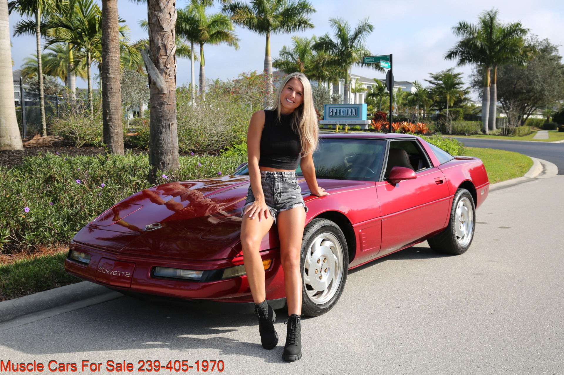 Used 1995 Chevrolet Corvette 57000 Miles for sale Sold at Muscle Cars for Sale Inc. in Fort Myers FL 33912 5