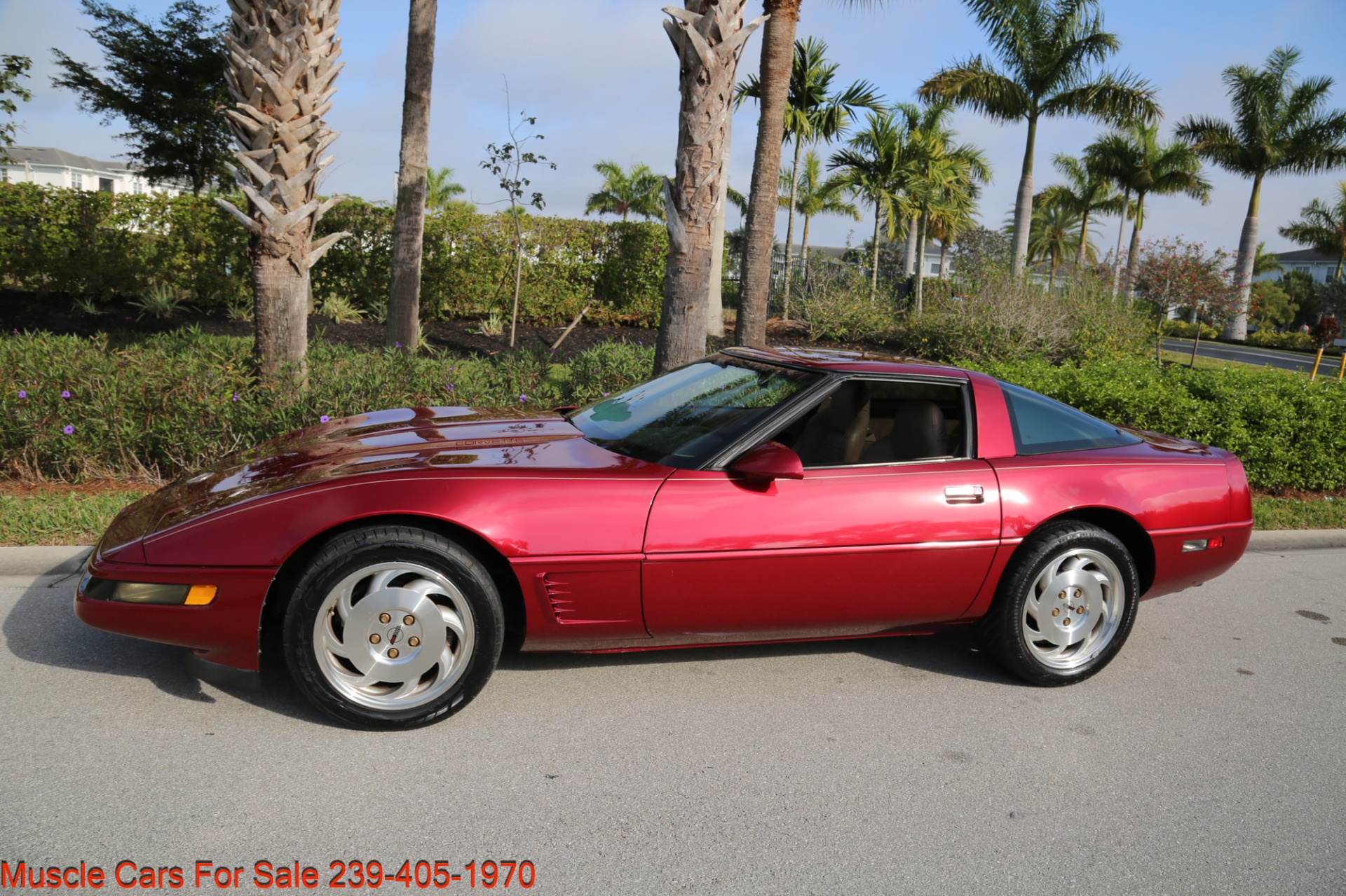 Used 1995 Chevrolet Corvette 57000 Miles for sale Sold at Muscle Cars for Sale Inc. in Fort Myers FL 33912 6