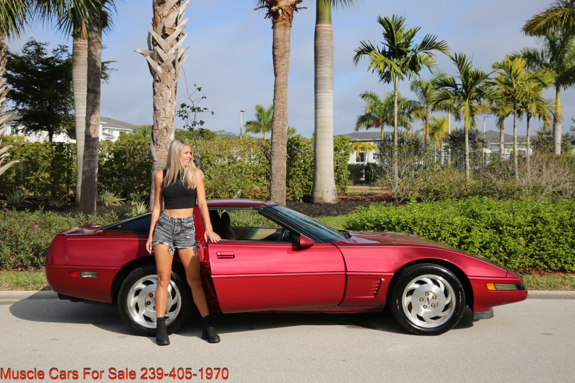 Used 1995 Chevrolet Corvette 57000 Miles for sale Sold at Muscle Cars for Sale Inc. in Fort Myers FL 33912 1