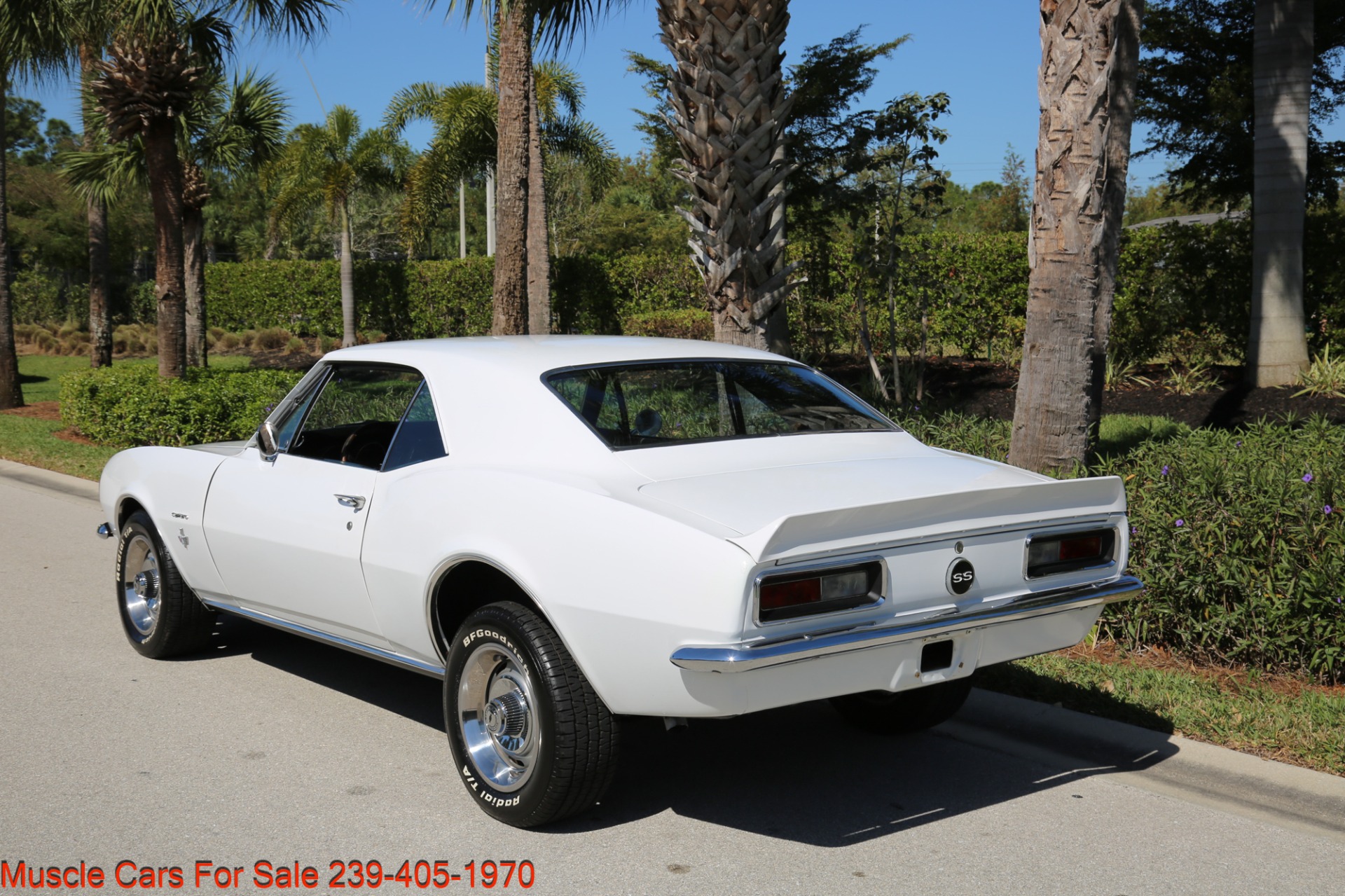 Used 1967 Chevrolet Camaro SS for sale Sold at Muscle Cars for Sale Inc. in Fort Myers FL 33912 6