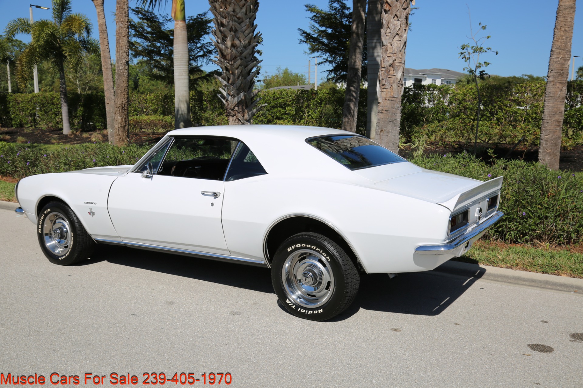 Used 1967 Chevrolet Camaro SS for sale Sold at Muscle Cars for Sale Inc. in Fort Myers FL 33912 7