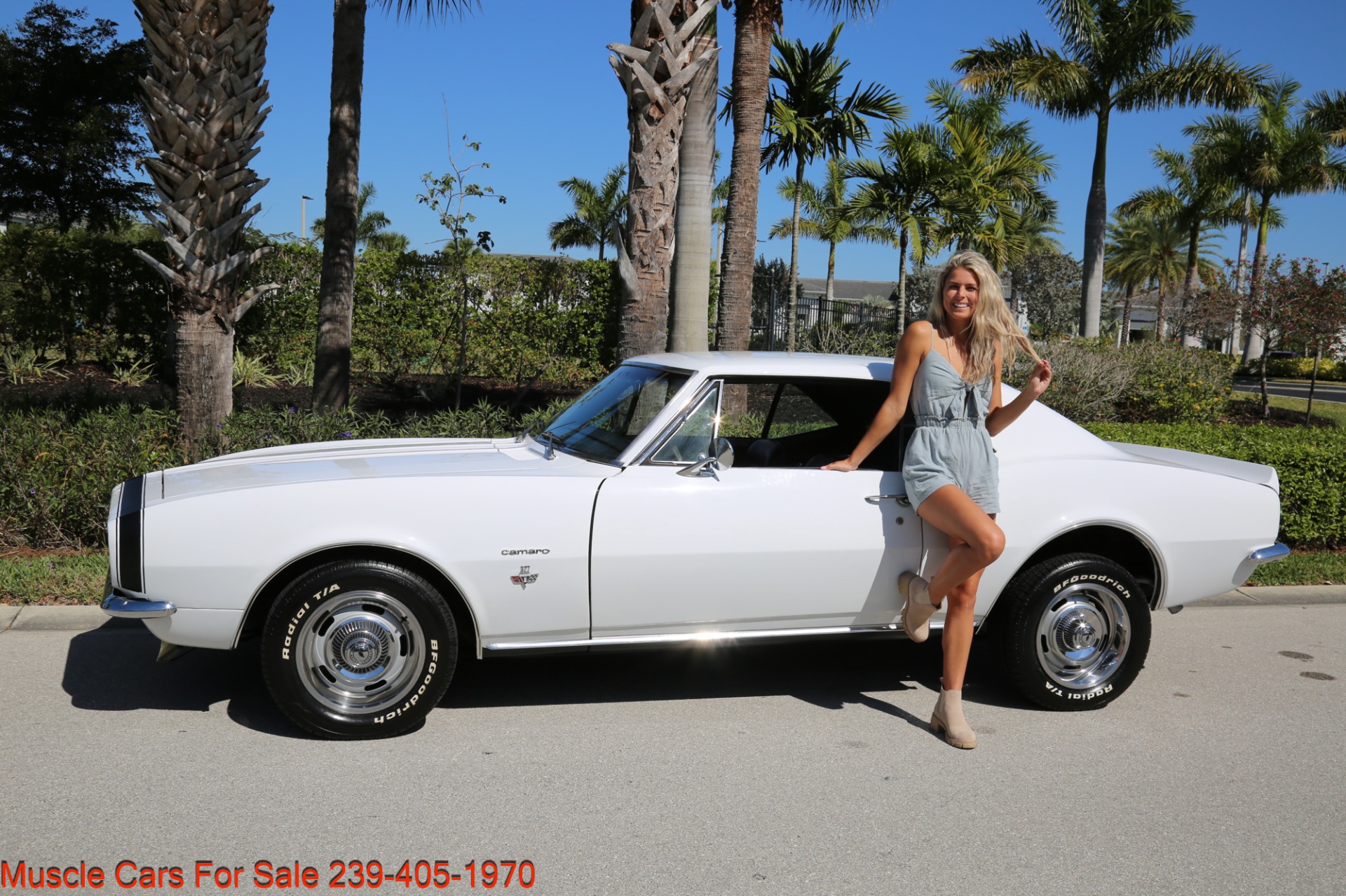 Used 1967 Chevrolet Camaro SS for sale Sold at Muscle Cars for Sale Inc. in Fort Myers FL 33912 1