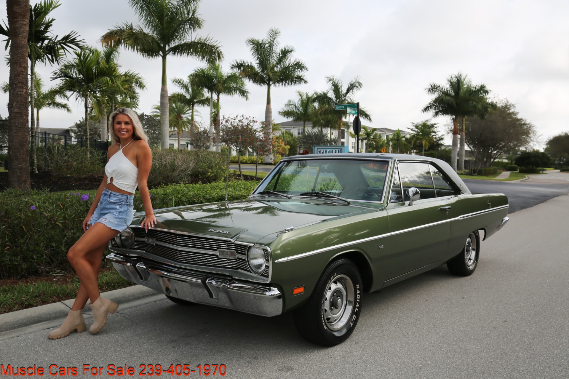 Used 1969 Dodge Dart Dart Custom V8 Auto for sale Sold at Muscle Cars for Sale Inc. in Fort Myers FL 33912 2