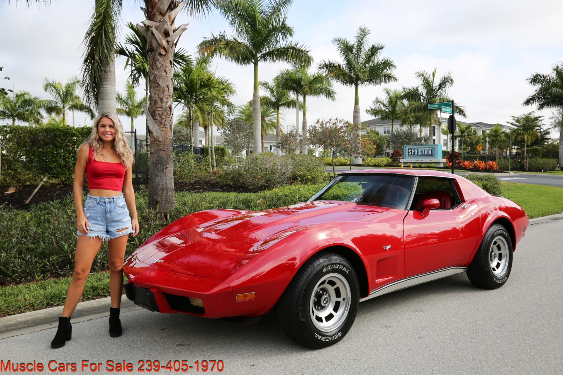 Used 1977 Chevrolet Corvette T Top Corvette for sale Sold at Muscle Cars for Sale Inc. in Fort Myers FL 33912 1