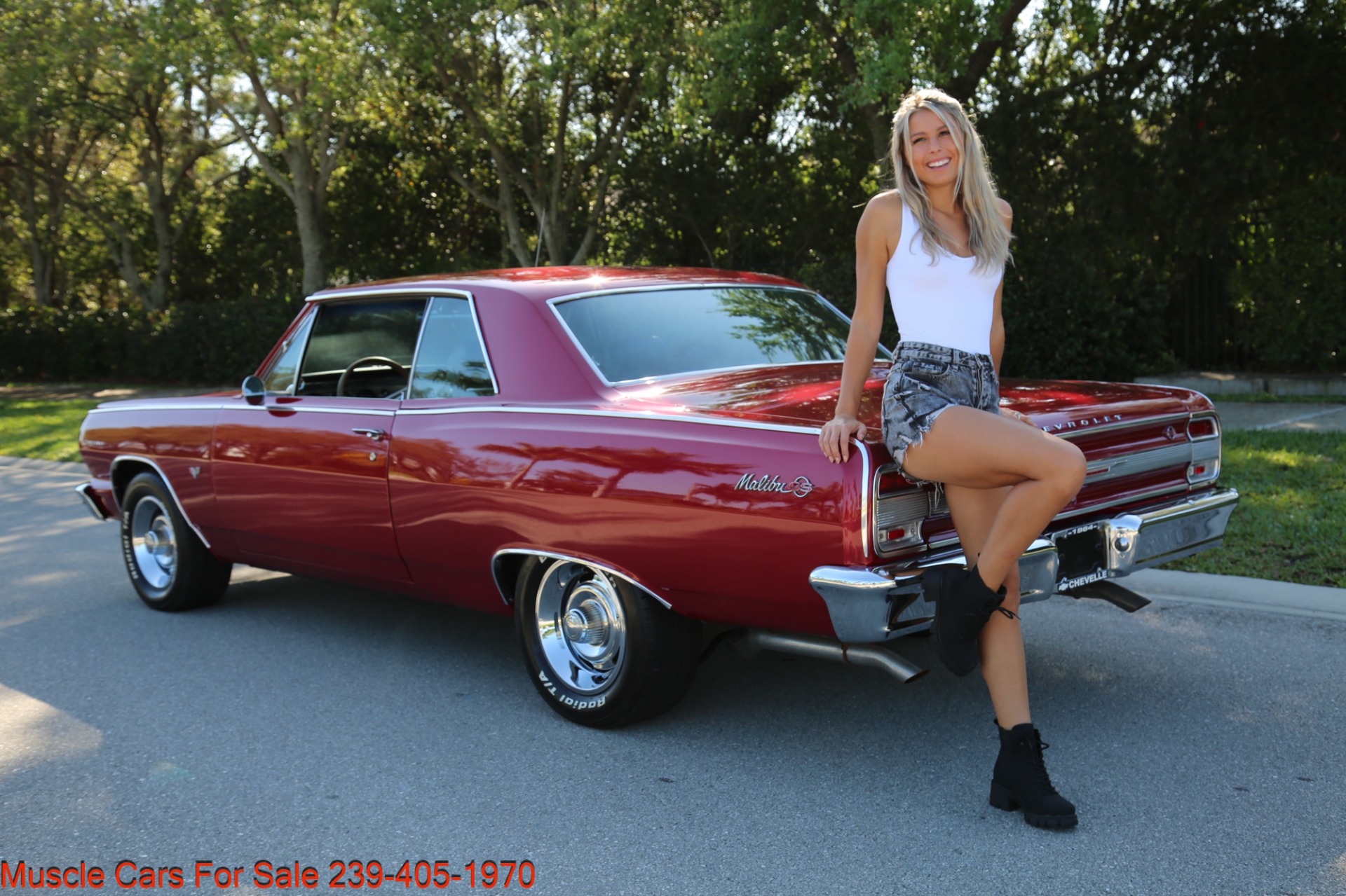 Used 1964 Chevrolet Chevelle SS Chevelle Malibu SS for sale Sold at Muscle Cars for Sale Inc. in Fort Myers FL 33912 2