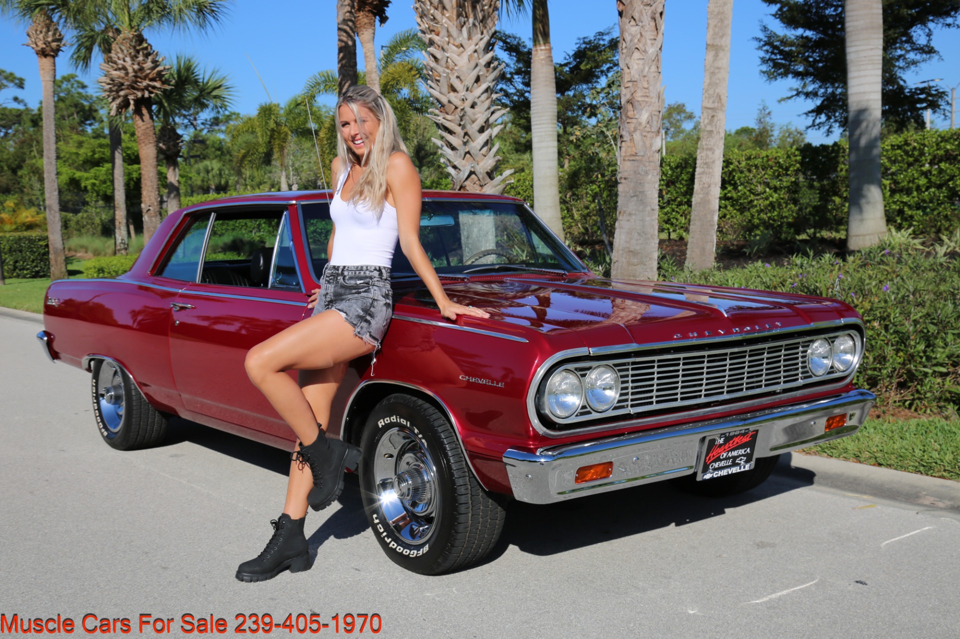 Used 1964 Chevrolet Chevelle SS Chevelle Malibu SS for sale Sold at Muscle Cars for Sale Inc. in Fort Myers FL 33912 3