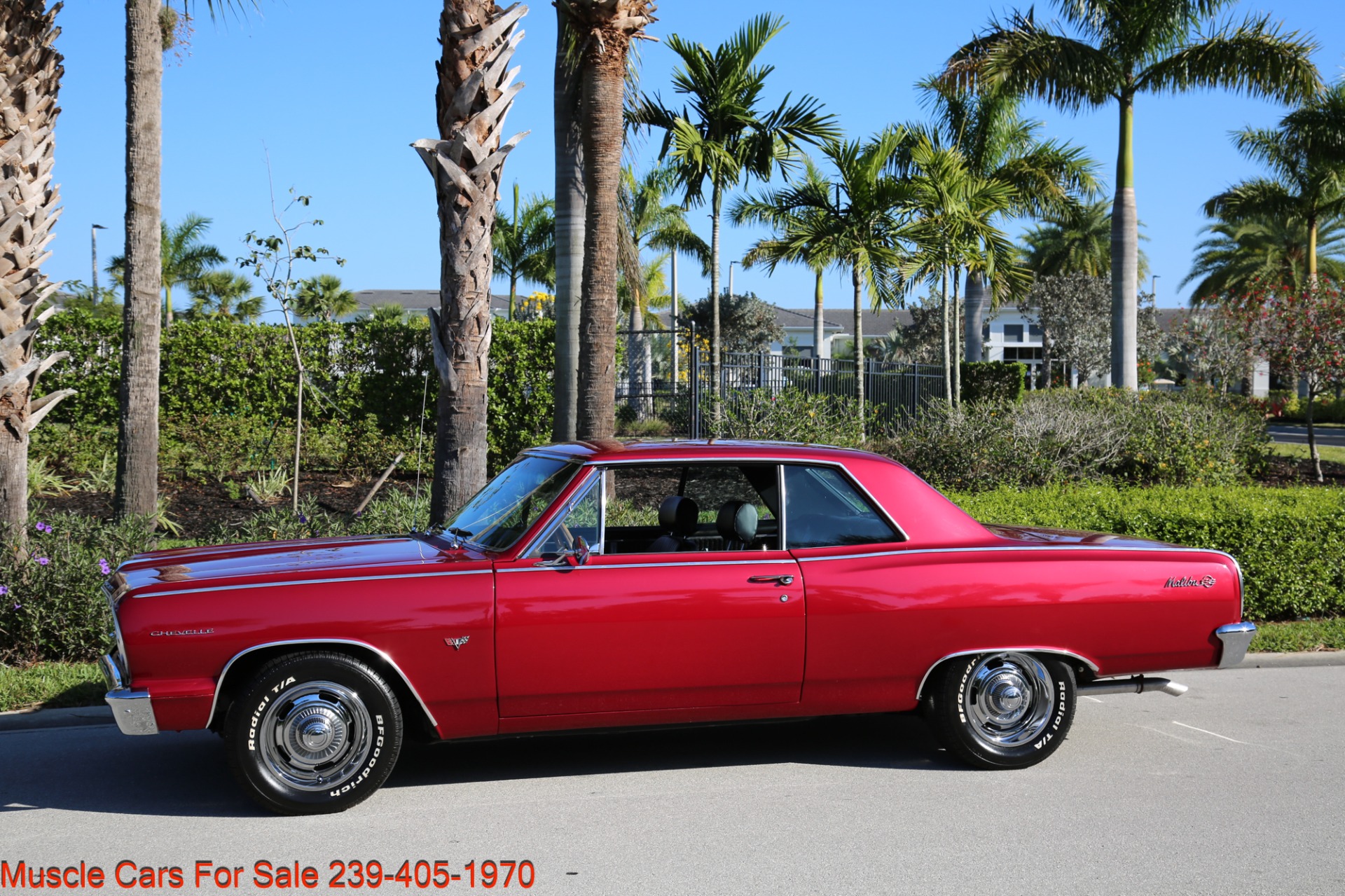 Used 1964 Chevrolet Chevelle SS Chevelle Malibu SS for sale Sold at Muscle Cars for Sale Inc. in Fort Myers FL 33912 4
