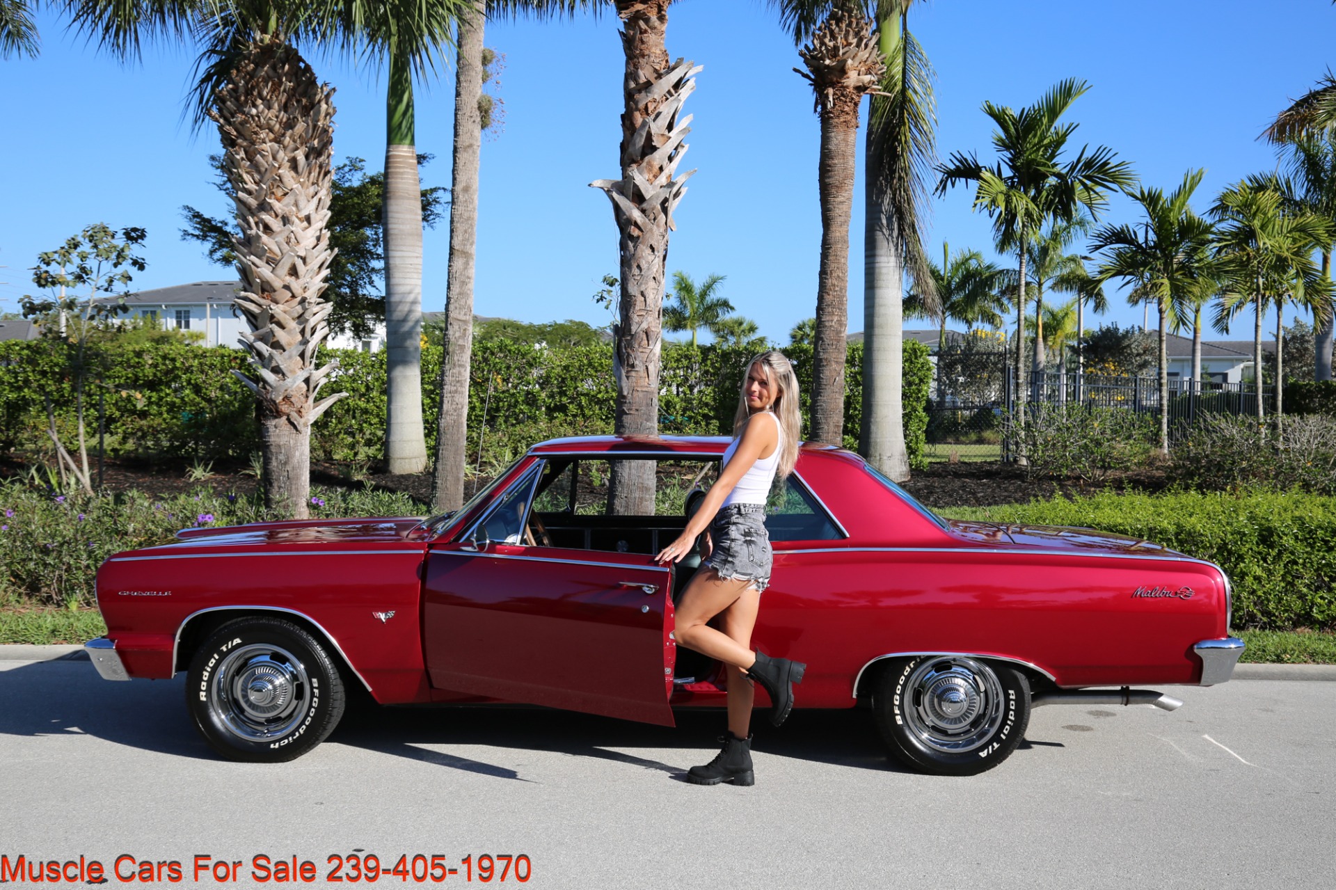 Used 1964 Chevrolet Chevelle SS Chevelle Malibu SS for sale Sold at Muscle Cars for Sale Inc. in Fort Myers FL 33912 7