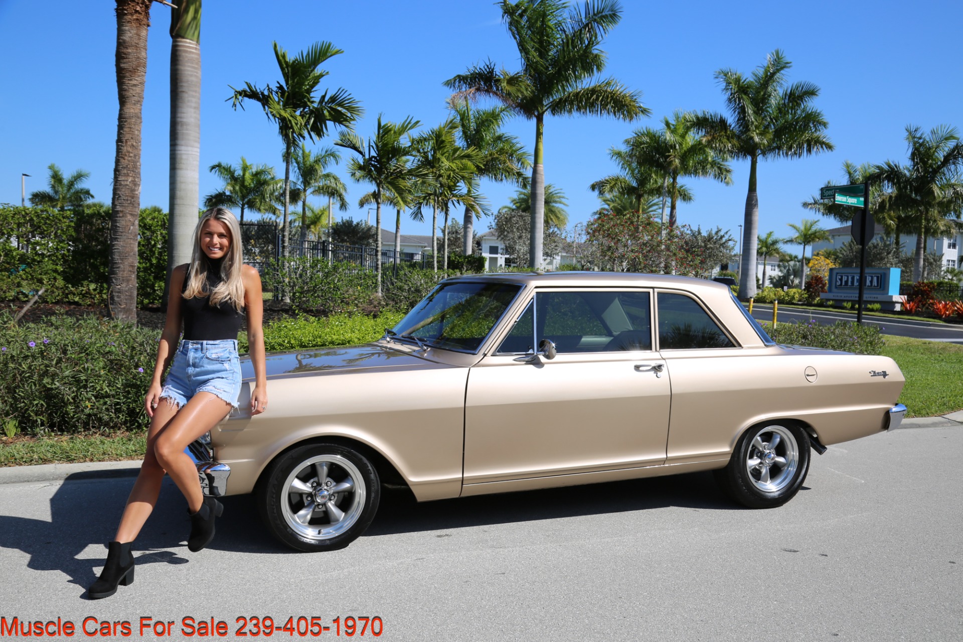 Used 1963 Chevrolet Nova Chevy ll V8 Auto for sale Sold at Muscle Cars for Sale Inc. in Fort Myers FL 33912 2
