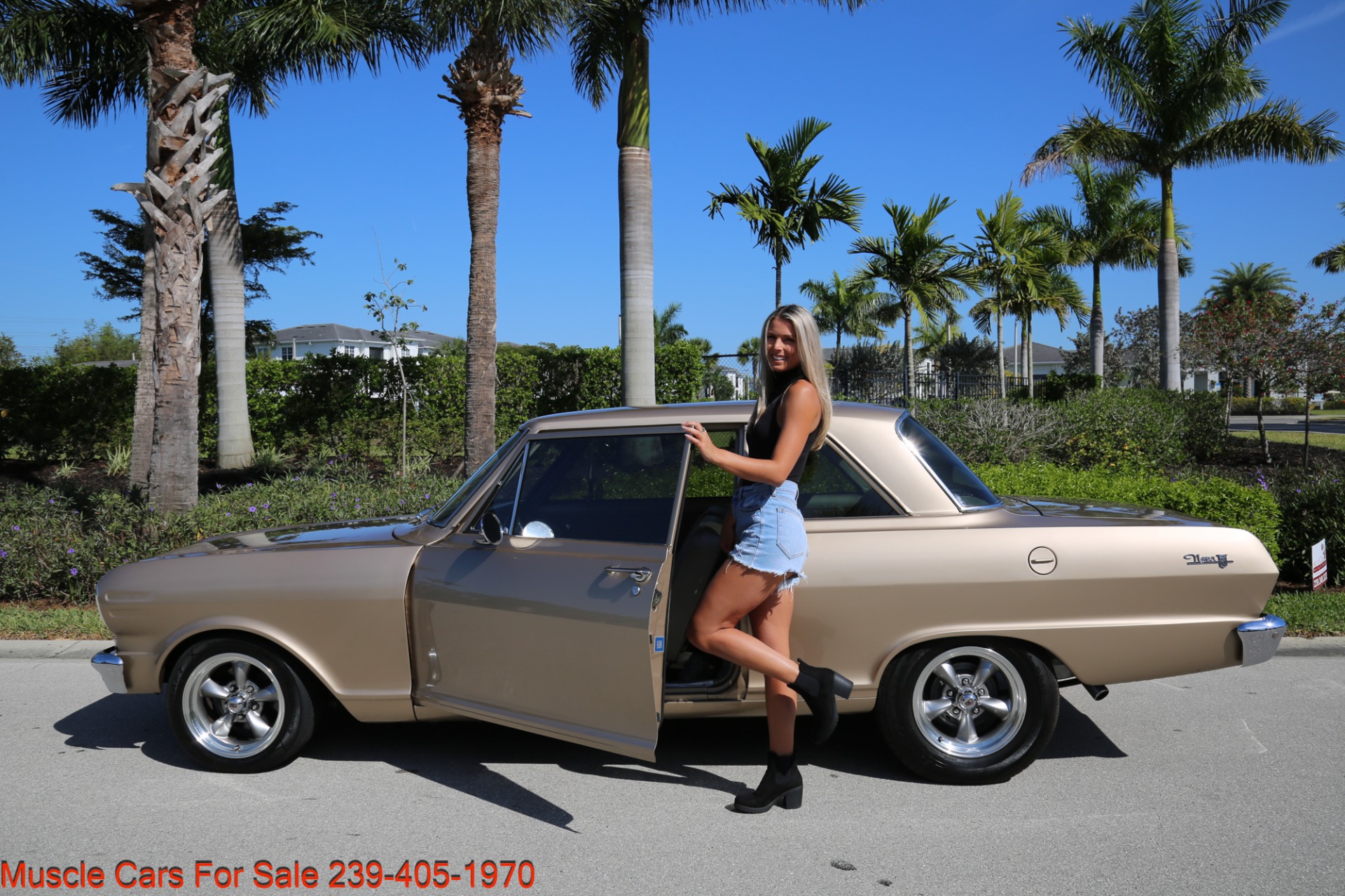 Used 1963 Chevrolet Nova Chevy ll V8 Auto for sale Sold at Muscle Cars for Sale Inc. in Fort Myers FL 33912 4