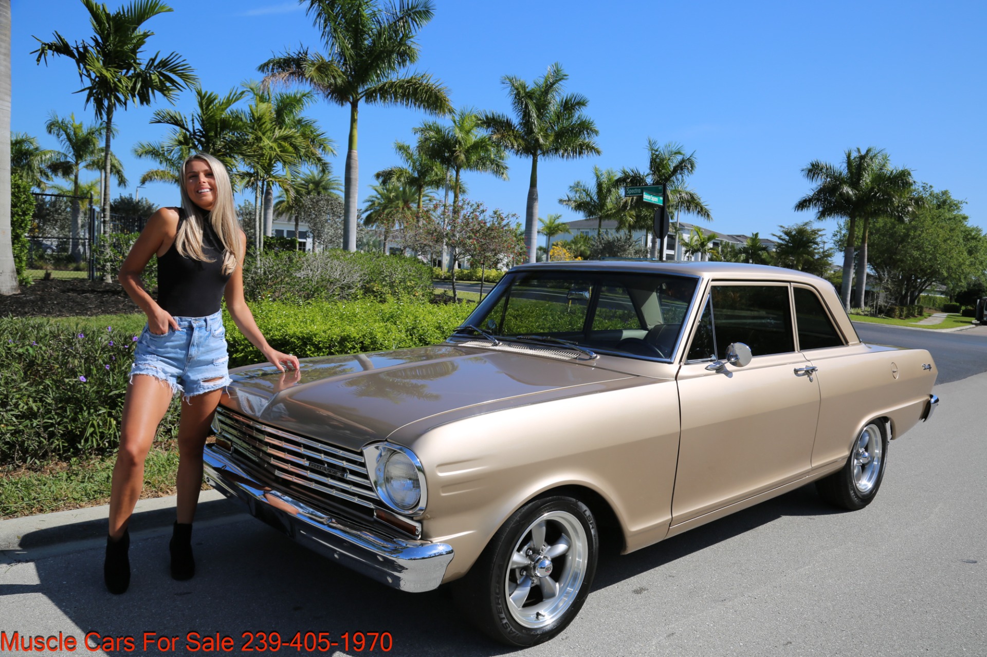Used 1963 Chevrolet Nova Chevy ll V8 Auto for sale Sold at Muscle Cars for Sale Inc. in Fort Myers FL 33912 1