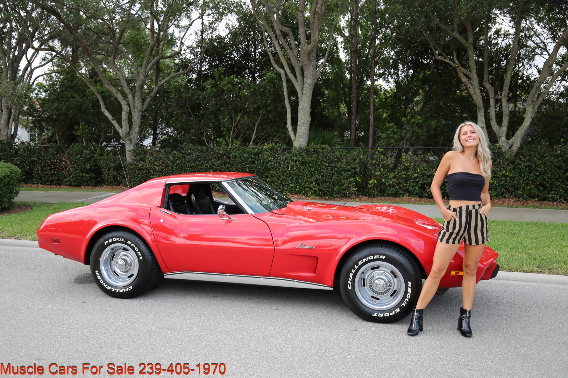 Used 1975 Chevrolet Corvette Stingray Stingray for sale Sold at Muscle Cars for Sale Inc. in Fort Myers FL 33912 2