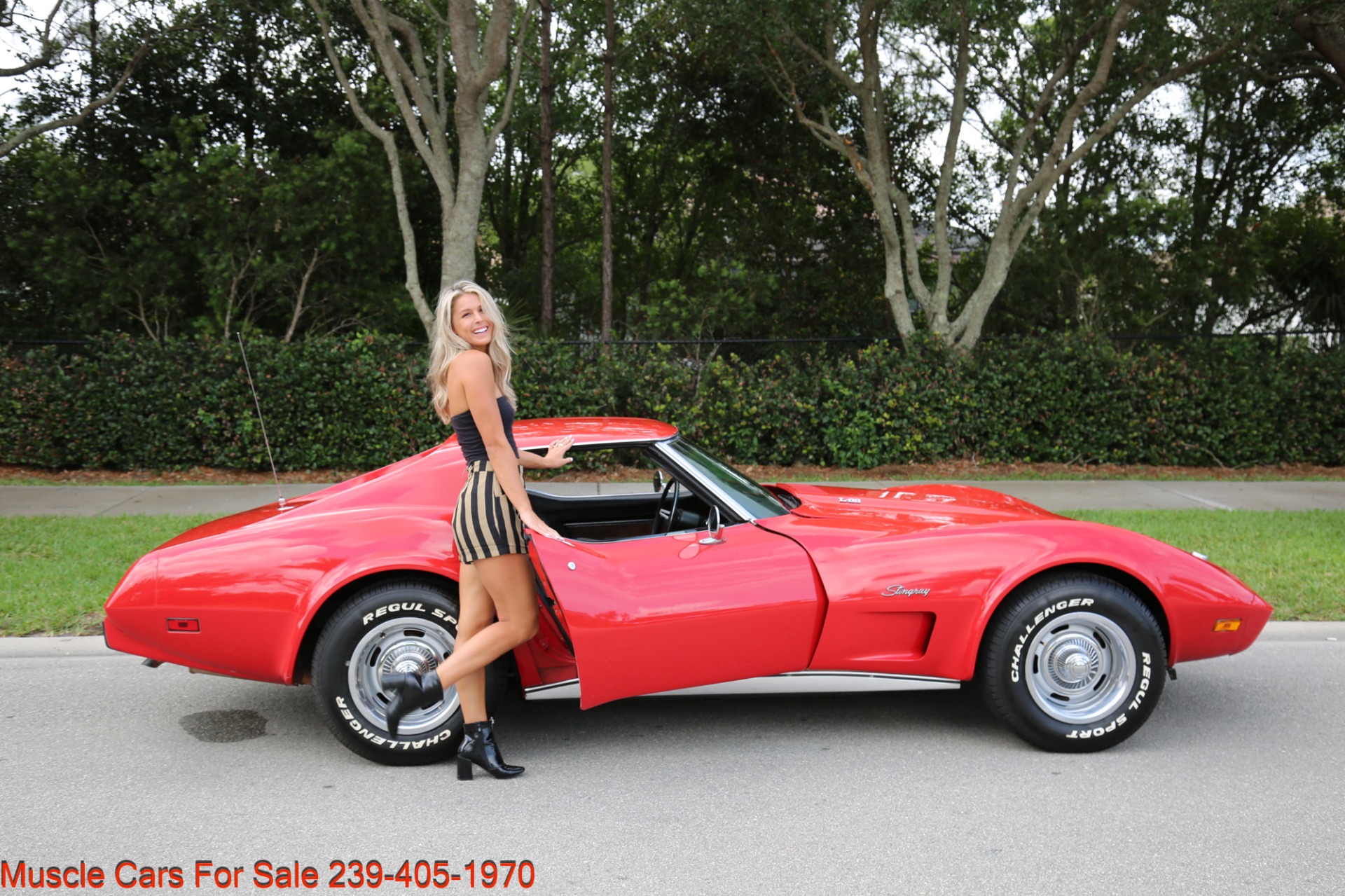 Used 1975 Chevrolet Corvette Stingray Stingray for sale Sold at Muscle Cars for Sale Inc. in Fort Myers FL 33912 3