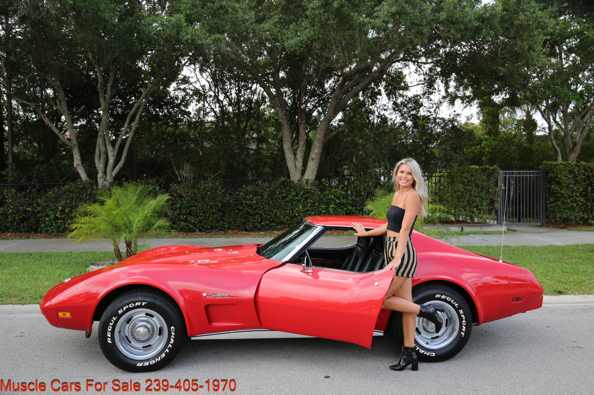 Used 1975 Chevrolet Corvette Stingray Stingray for sale Sold at Muscle Cars for Sale Inc. in Fort Myers FL 33912 5