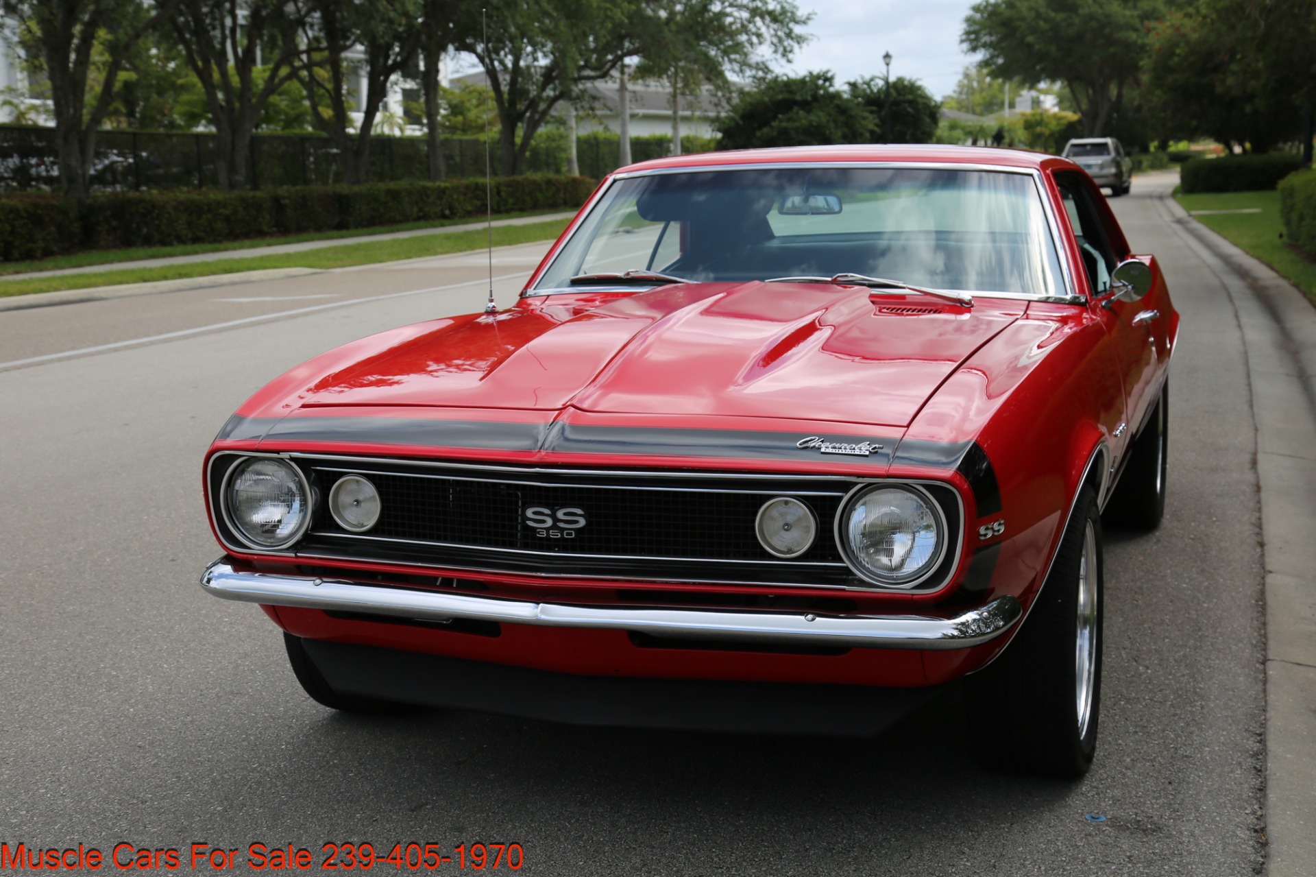Used 1967 Chevrolet Camaro V8 for sale Sold at Muscle Cars for Sale Inc. in Fort Myers FL 33912 5