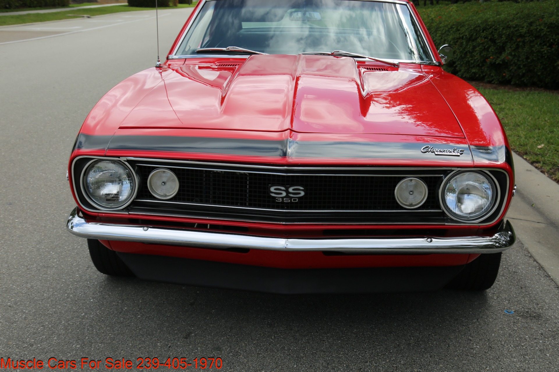 Used 1967 Chevrolet Camaro V8 for sale Sold at Muscle Cars for Sale Inc. in Fort Myers FL 33912 6