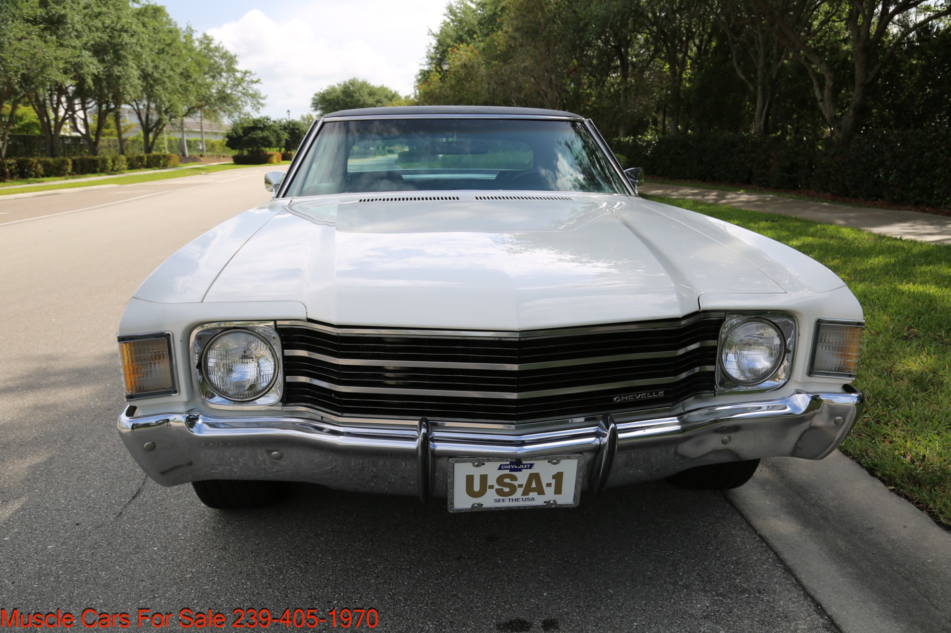 Used 1972 Chevrolet Chevelle Malibu V8 Auto for sale Sold at Muscle Cars for Sale Inc. in Fort Myers FL 33912 6