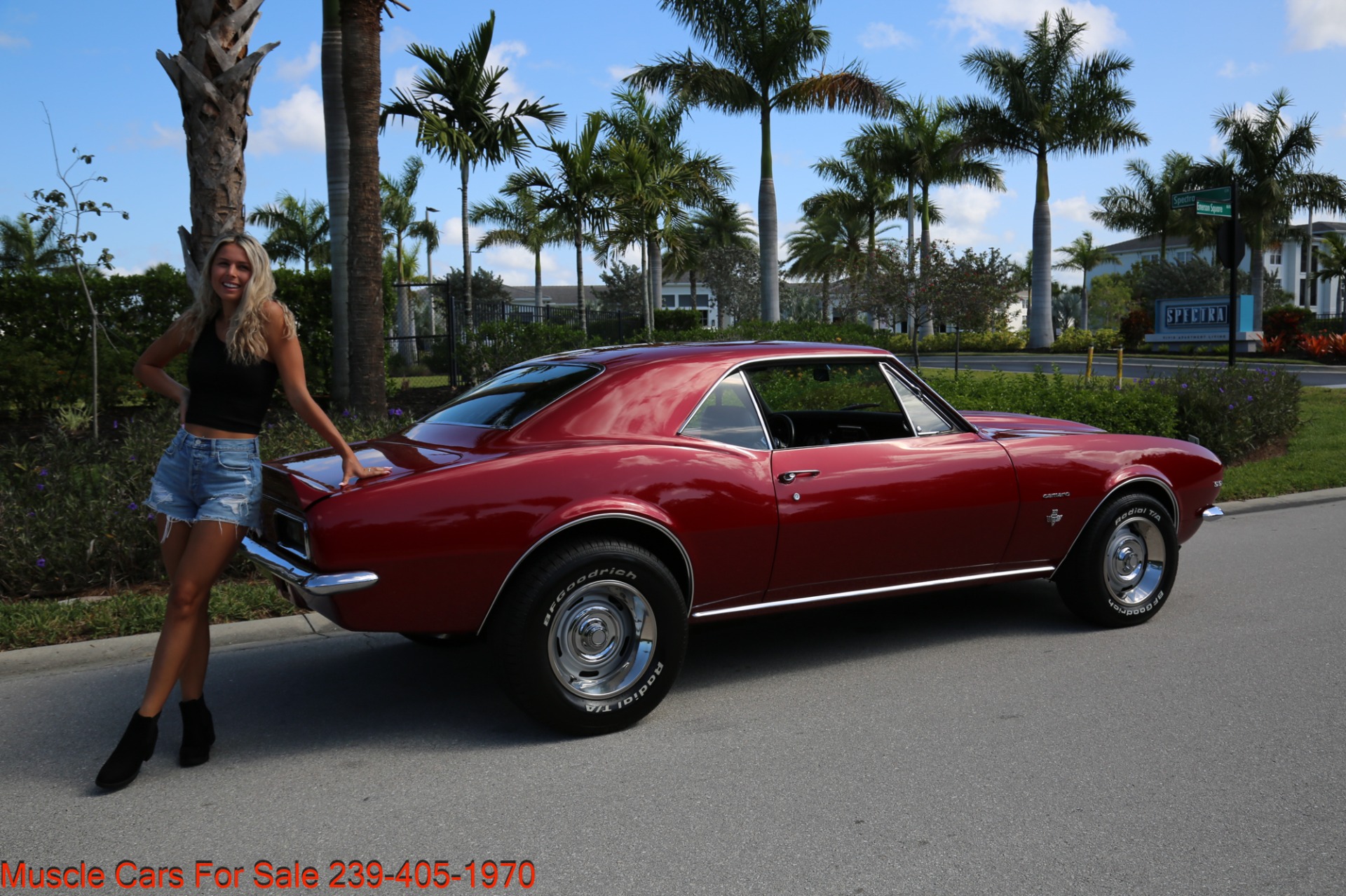 Used 1967 Chevrolet Camaro SS for sale Sold at Muscle Cars for Sale Inc. in Fort Myers FL 33912 6
