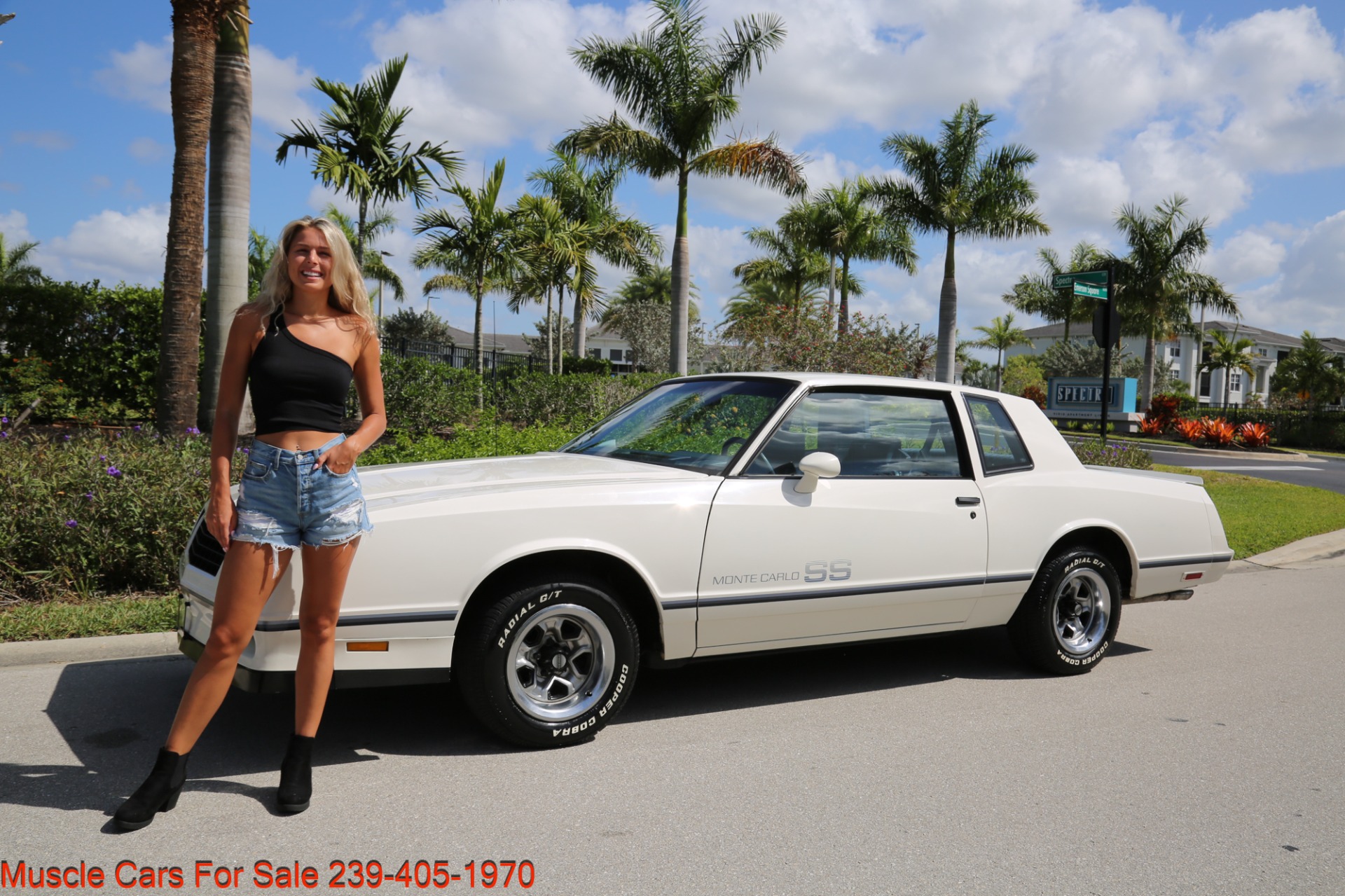 Used 1984 Chevrolet Monte Carlo SS for sale Sold at Muscle Cars for Sale Inc. in Fort Myers FL 33912 2