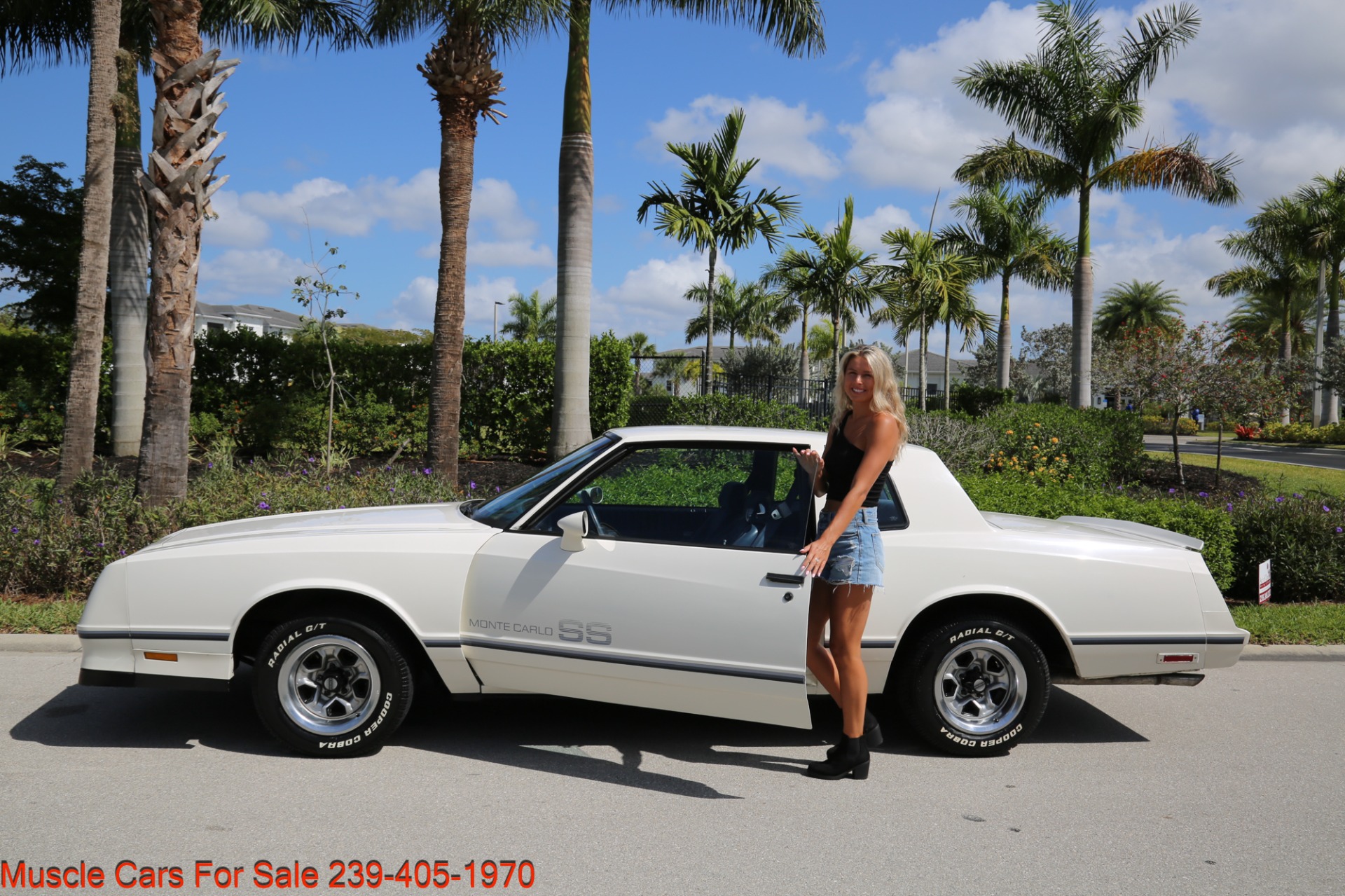 Used 1984 Chevrolet Monte Carlo SS for sale Sold at Muscle Cars for Sale Inc. in Fort Myers FL 33912 3