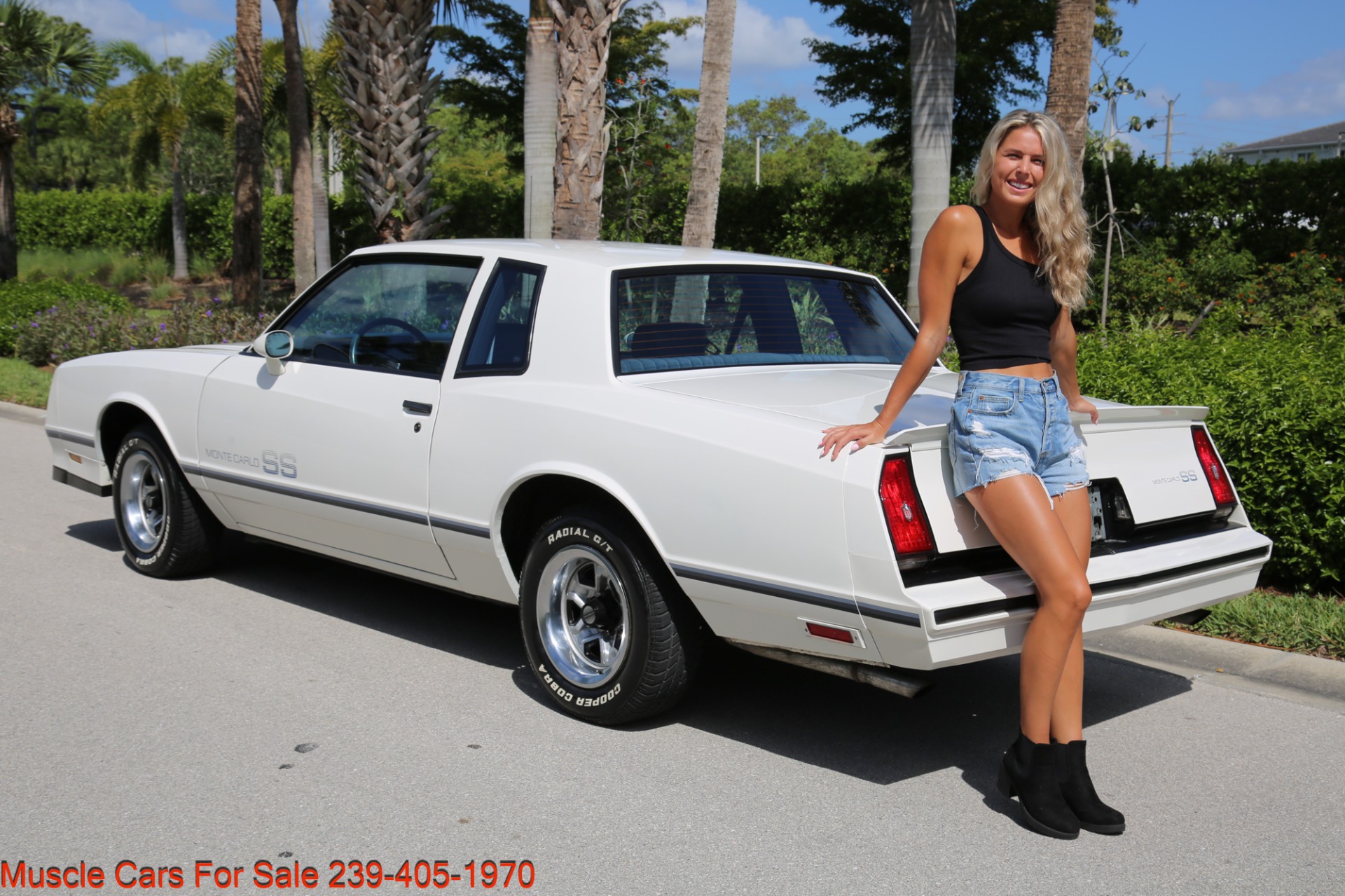 Used 1984 Chevrolet Monte Carlo SS for sale Sold at Muscle Cars for Sale Inc. in Fort Myers FL 33912 4