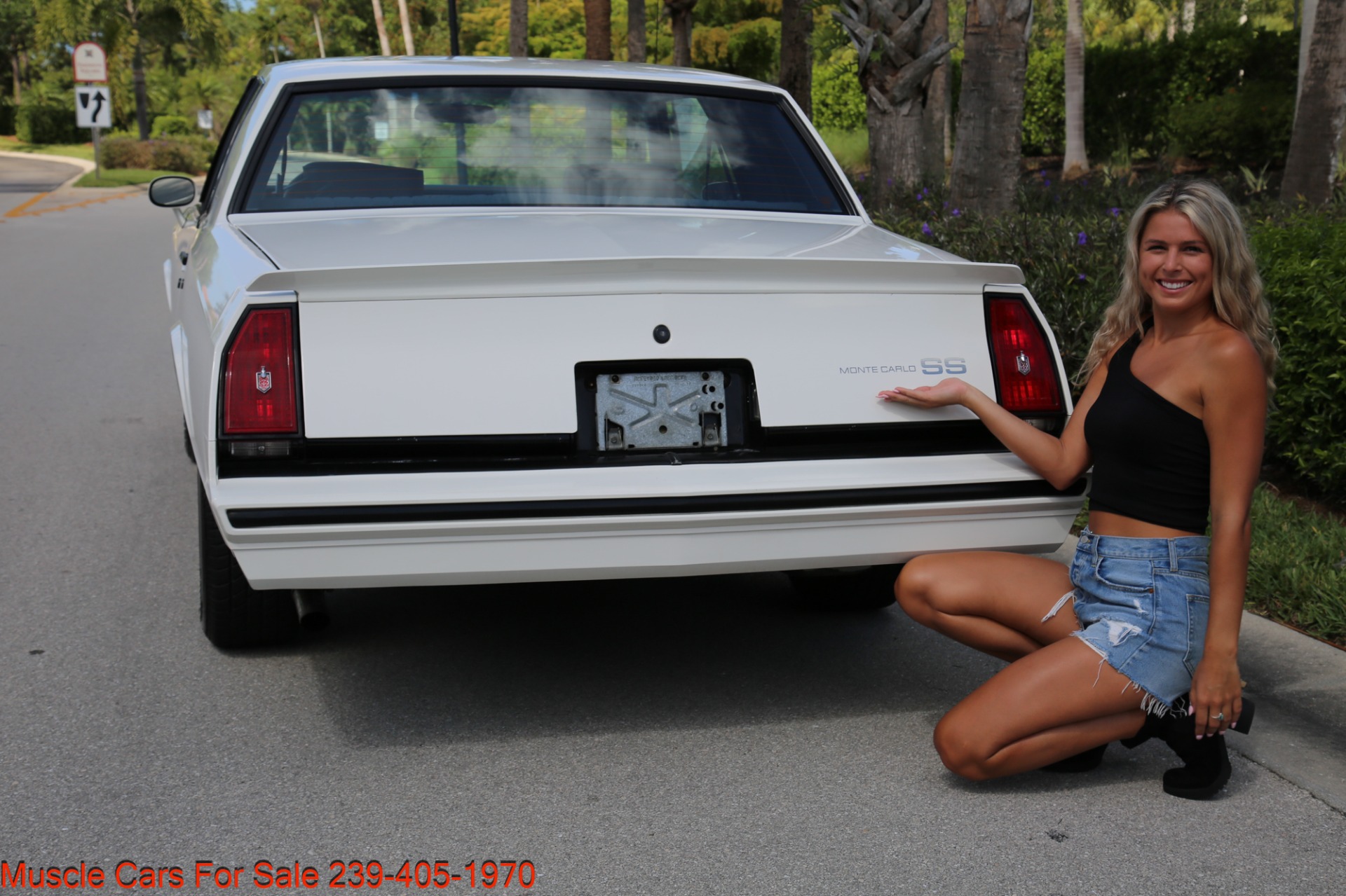 Used 1984 Chevrolet Monte Carlo SS for sale Sold at Muscle Cars for Sale Inc. in Fort Myers FL 33912 6