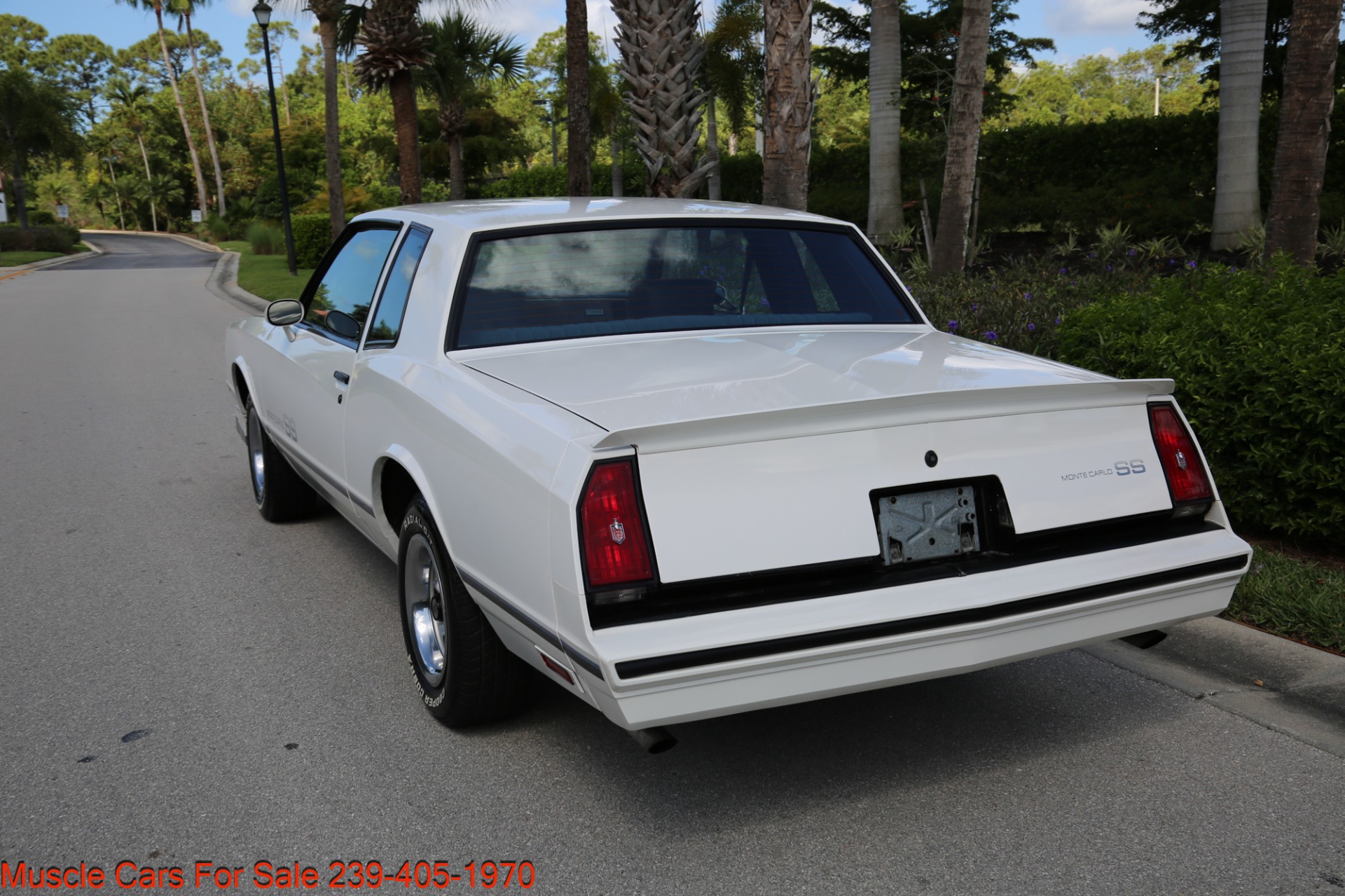 Used 1984 Chevrolet Monte Carlo SS for sale Sold at Muscle Cars for Sale Inc. in Fort Myers FL 33912 7