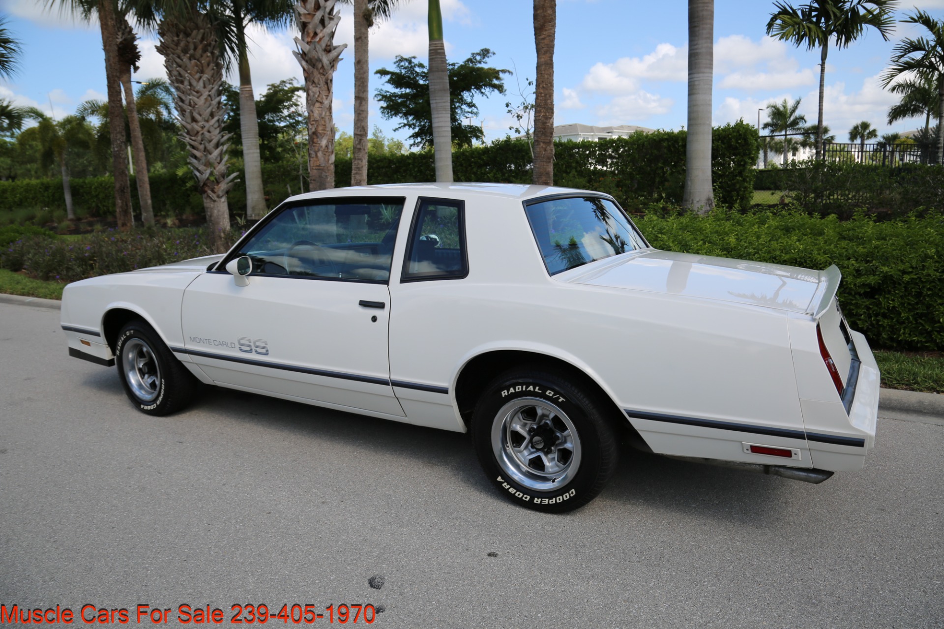 Used 1984 Chevrolet Monte Carlo SS for sale Sold at Muscle Cars for Sale Inc. in Fort Myers FL 33912 8