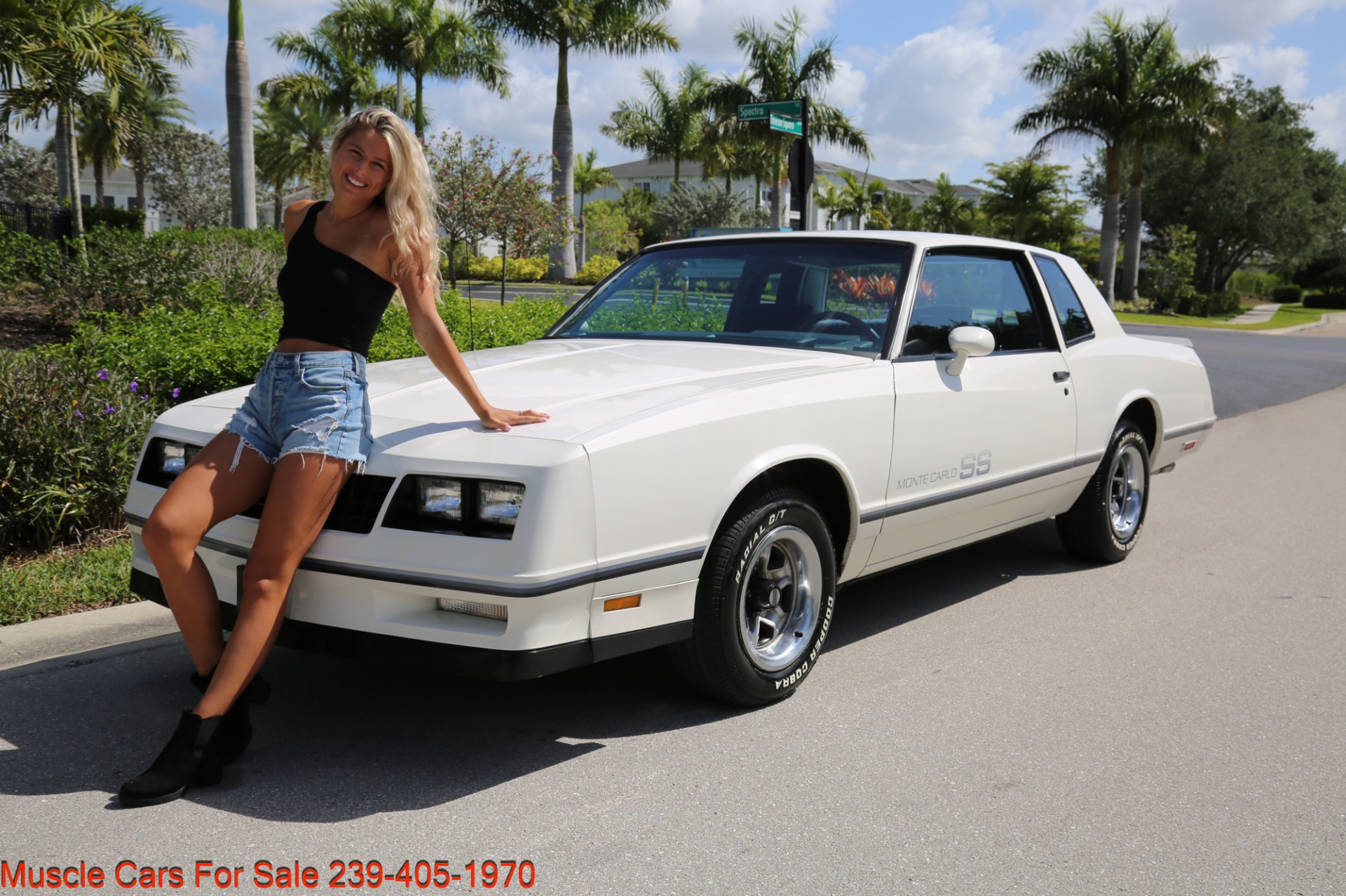 Used 1984 Chevrolet Monte Carlo SS for sale Sold at Muscle Cars for Sale Inc. in Fort Myers FL 33912 1