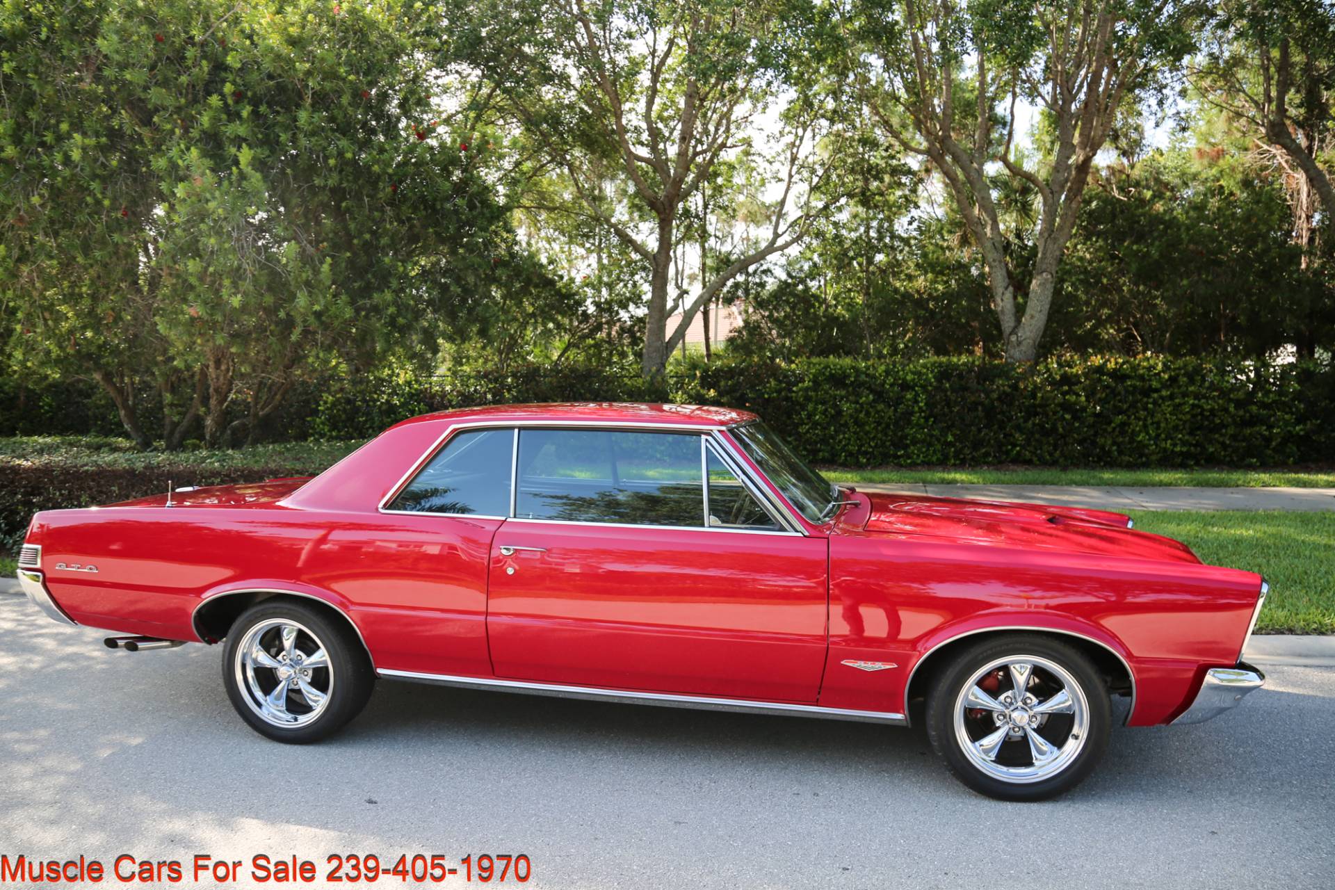 Used 1965 Pontiac GTO GTO for sale Sold at Muscle Cars for Sale Inc. in Fort Myers FL 33912 3