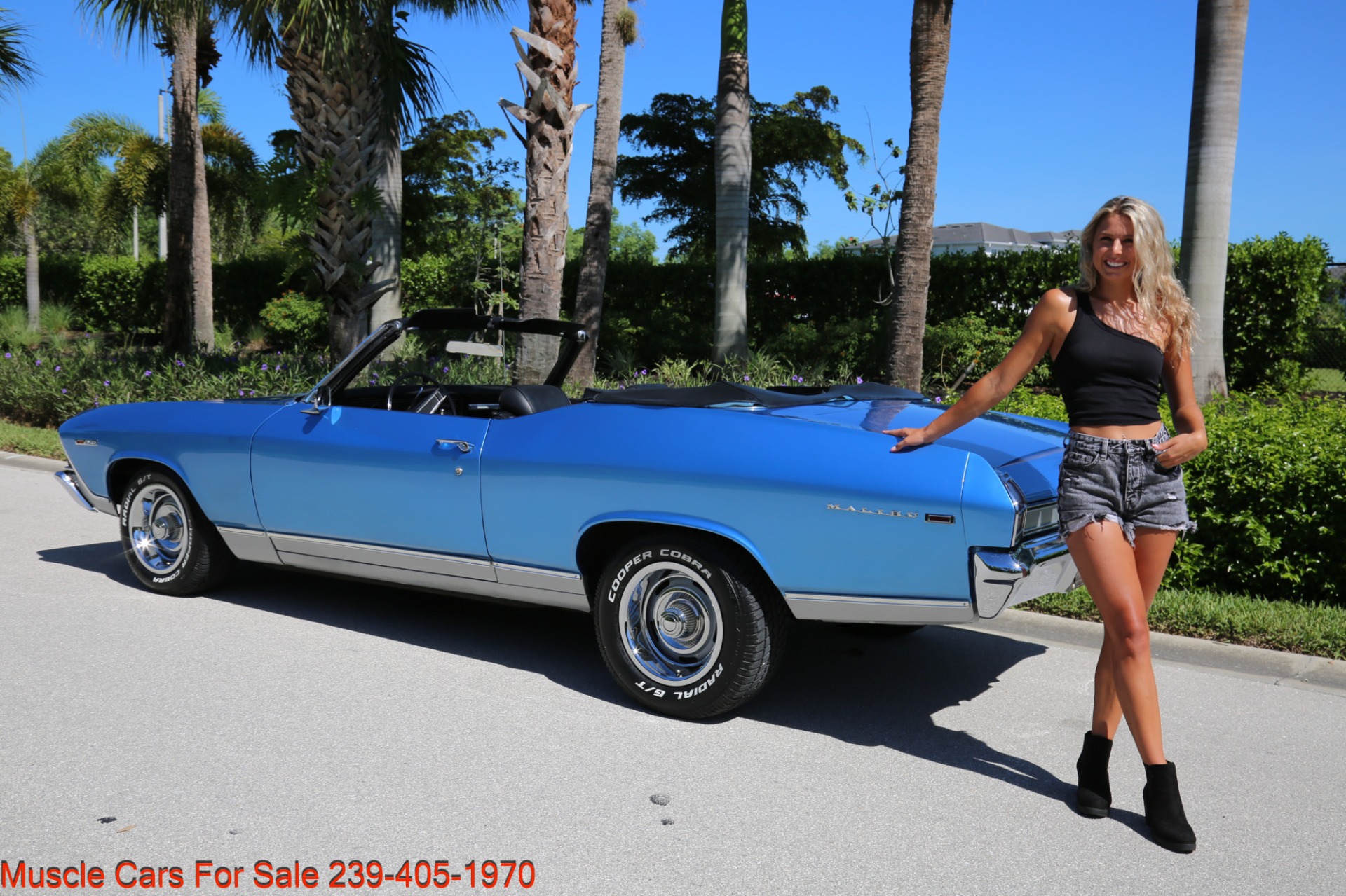 Used 1969 Chevrolet Chevelle CV V8 Auto for sale Sold at Muscle Cars for Sale Inc. in Fort Myers FL 33912 3