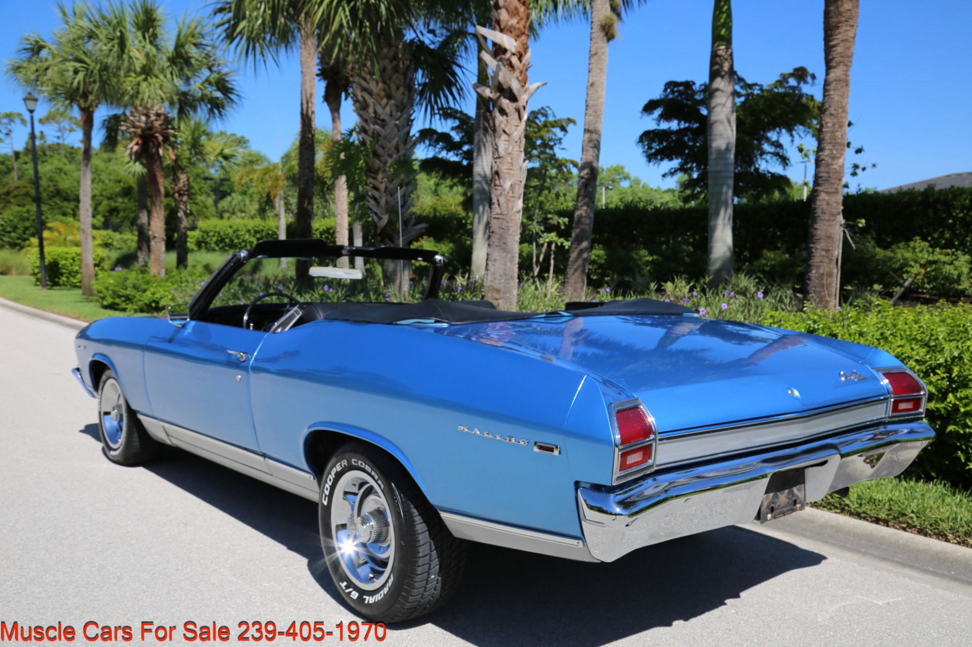 Used 1969 Chevrolet Chevelle CV V8 Auto for sale Sold at Muscle Cars for Sale Inc. in Fort Myers FL 33912 5