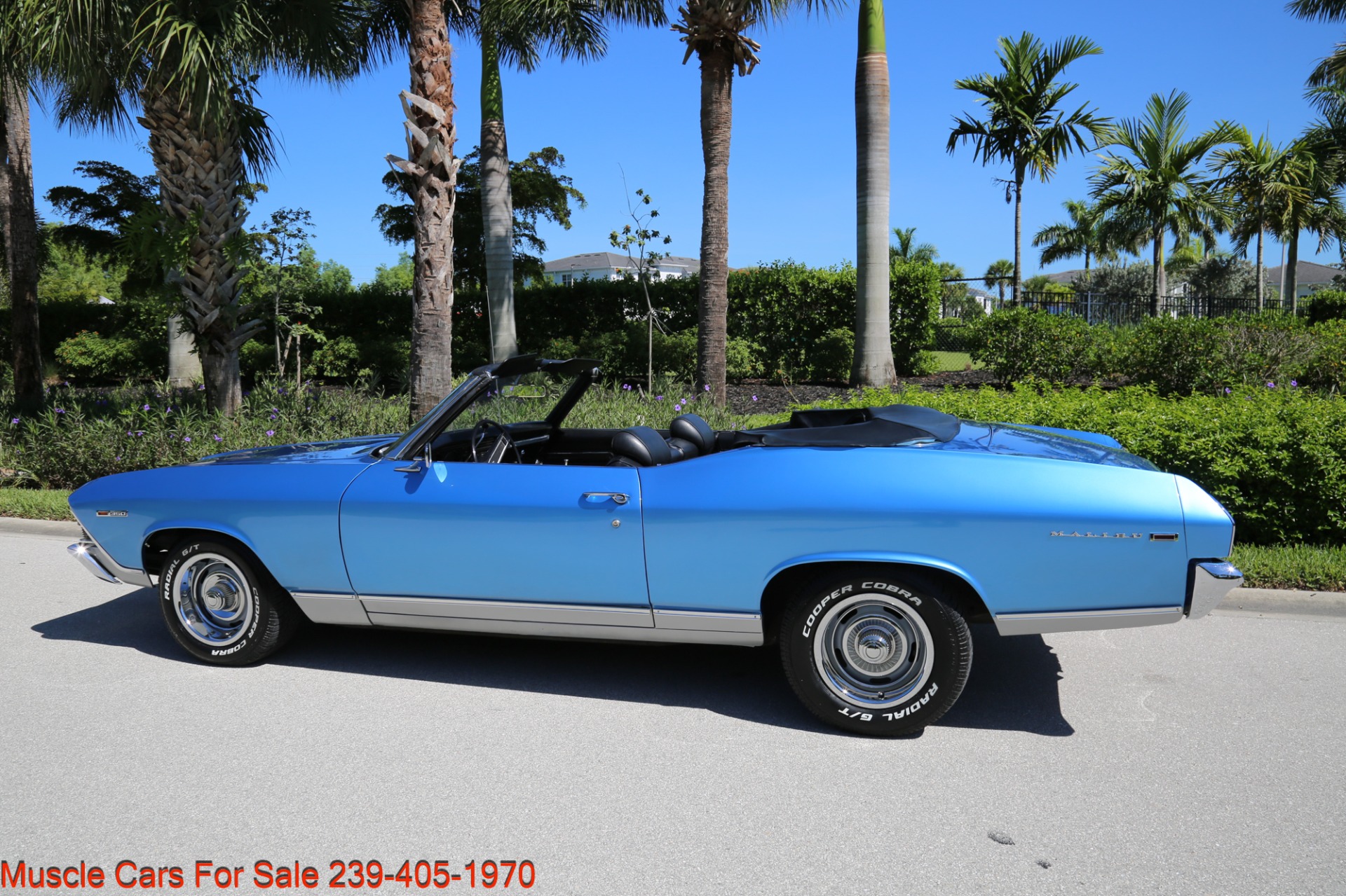 Used 1969 Chevrolet Chevelle CV V8 Auto for sale Sold at Muscle Cars for Sale Inc. in Fort Myers FL 33912 7