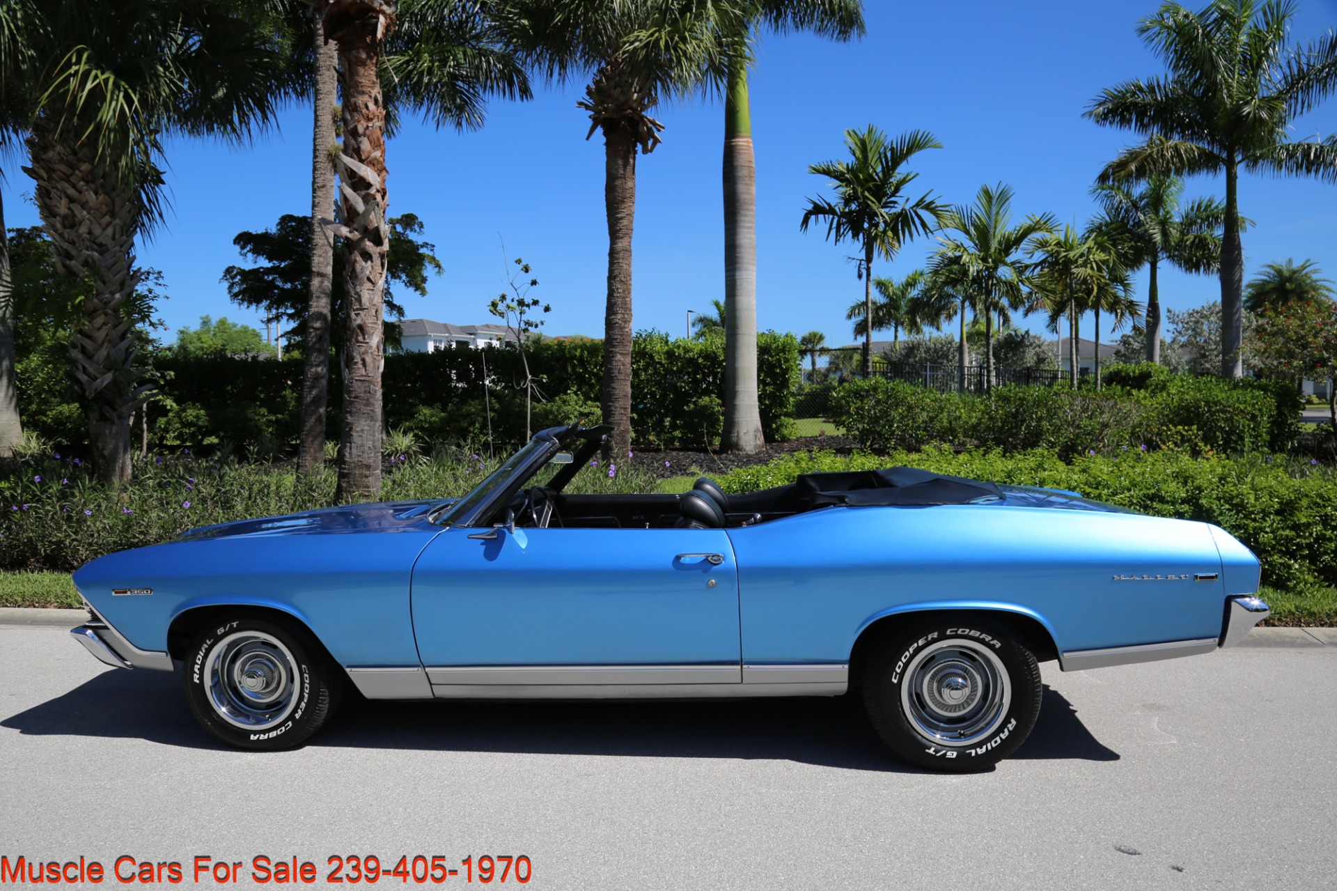 Used 1969 Chevrolet Chevelle CV V8 Auto for sale Sold at Muscle Cars for Sale Inc. in Fort Myers FL 33912 8