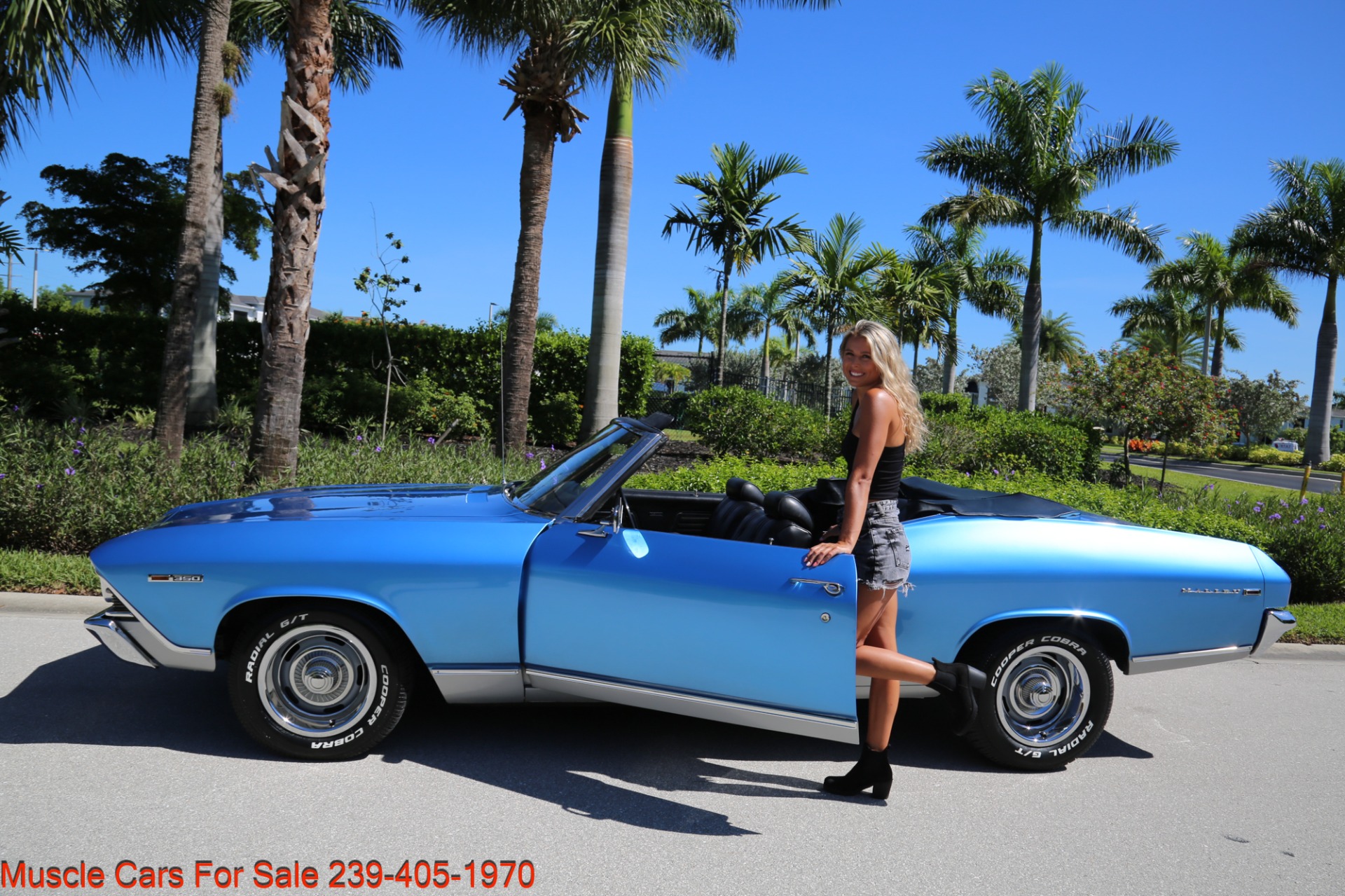 Used 1969 Chevrolet Chevelle CV V8 Auto for sale Sold at Muscle Cars for Sale Inc. in Fort Myers FL 33912 1