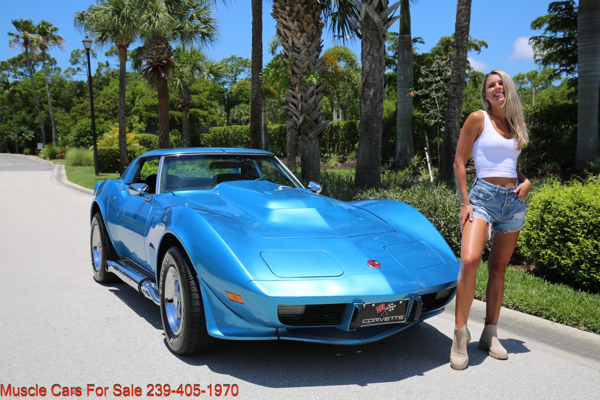 Used 1975 Chevrolet Corvette V8 Auto for sale Sold at Muscle Cars for Sale Inc. in Fort Myers FL 33912 3