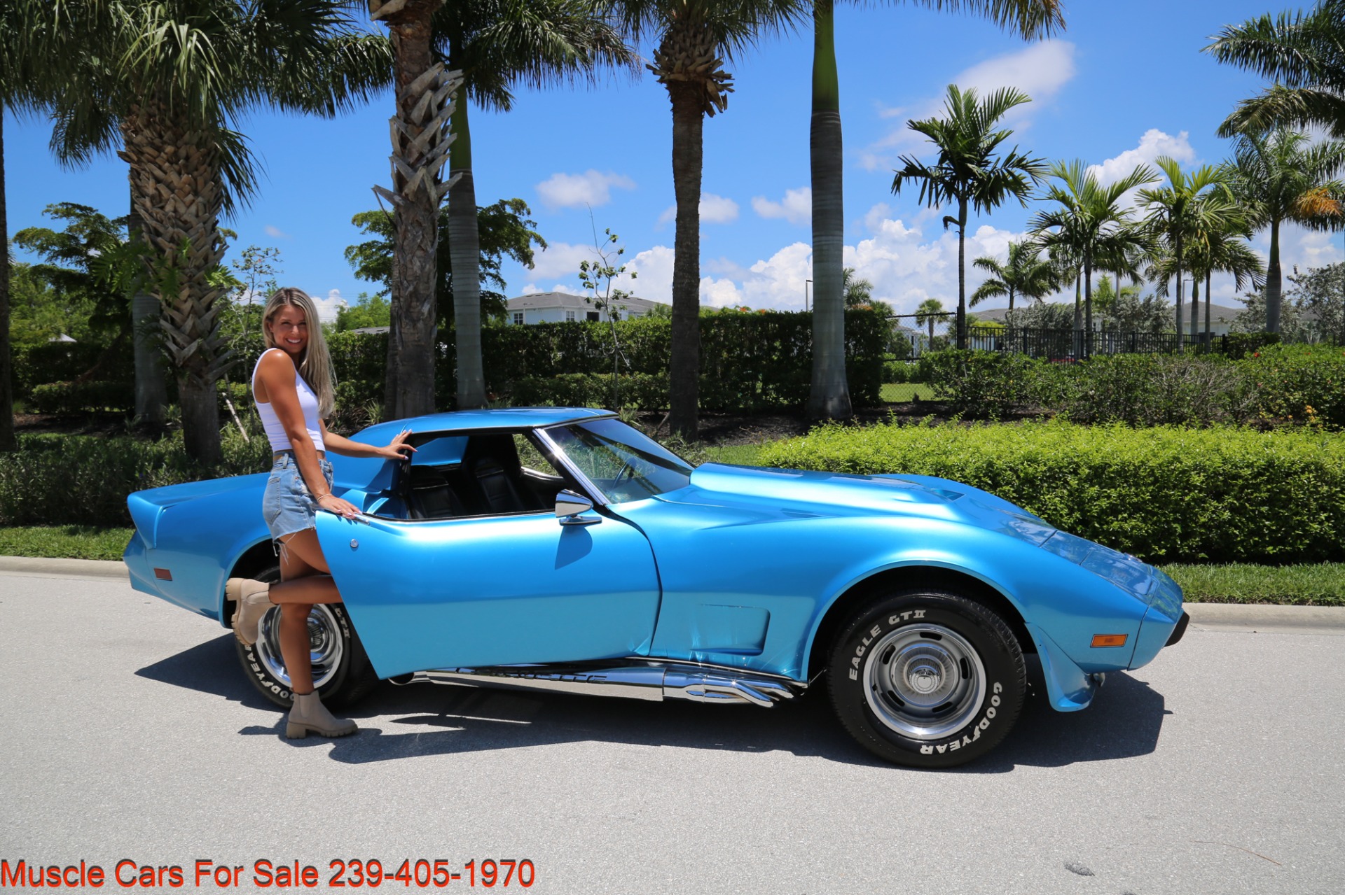 Used 1975 Chevrolet Corvette V8 Auto for sale Sold at Muscle Cars for Sale Inc. in Fort Myers FL 33912 1
