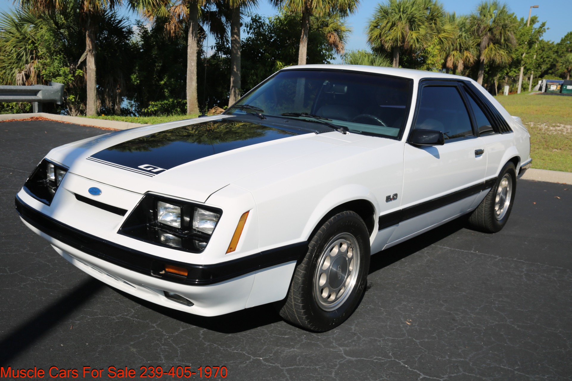 Used 1985 Ford Mustang GT for sale Sold at Muscle Cars for Sale Inc. in Fort Myers FL 33912 2