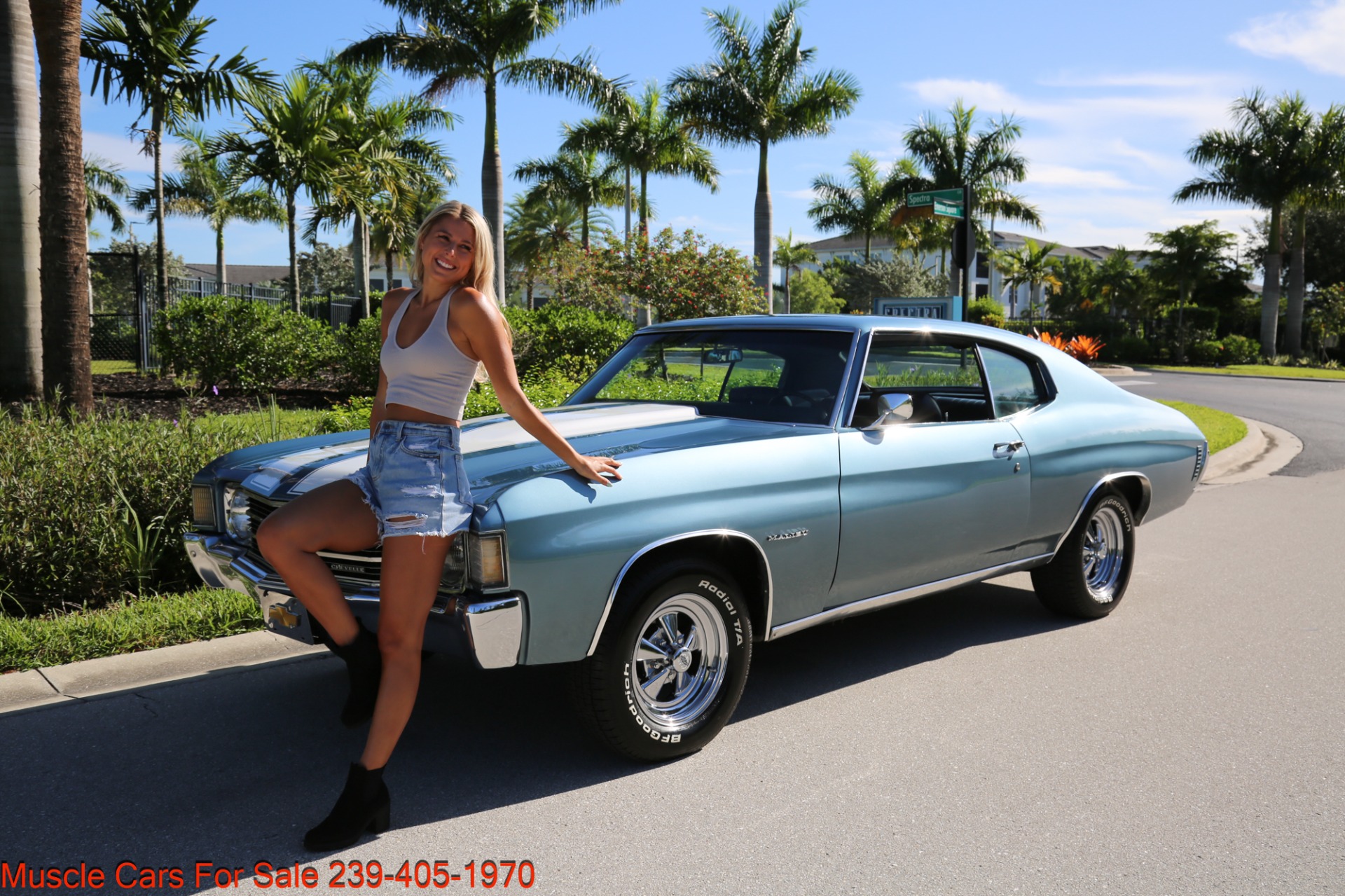 Used 1972 Chevrolet Chevelle Malibu SS Trim on Malibu for sale Sold at Muscle Cars for Sale Inc. in Fort Myers FL 33912 2