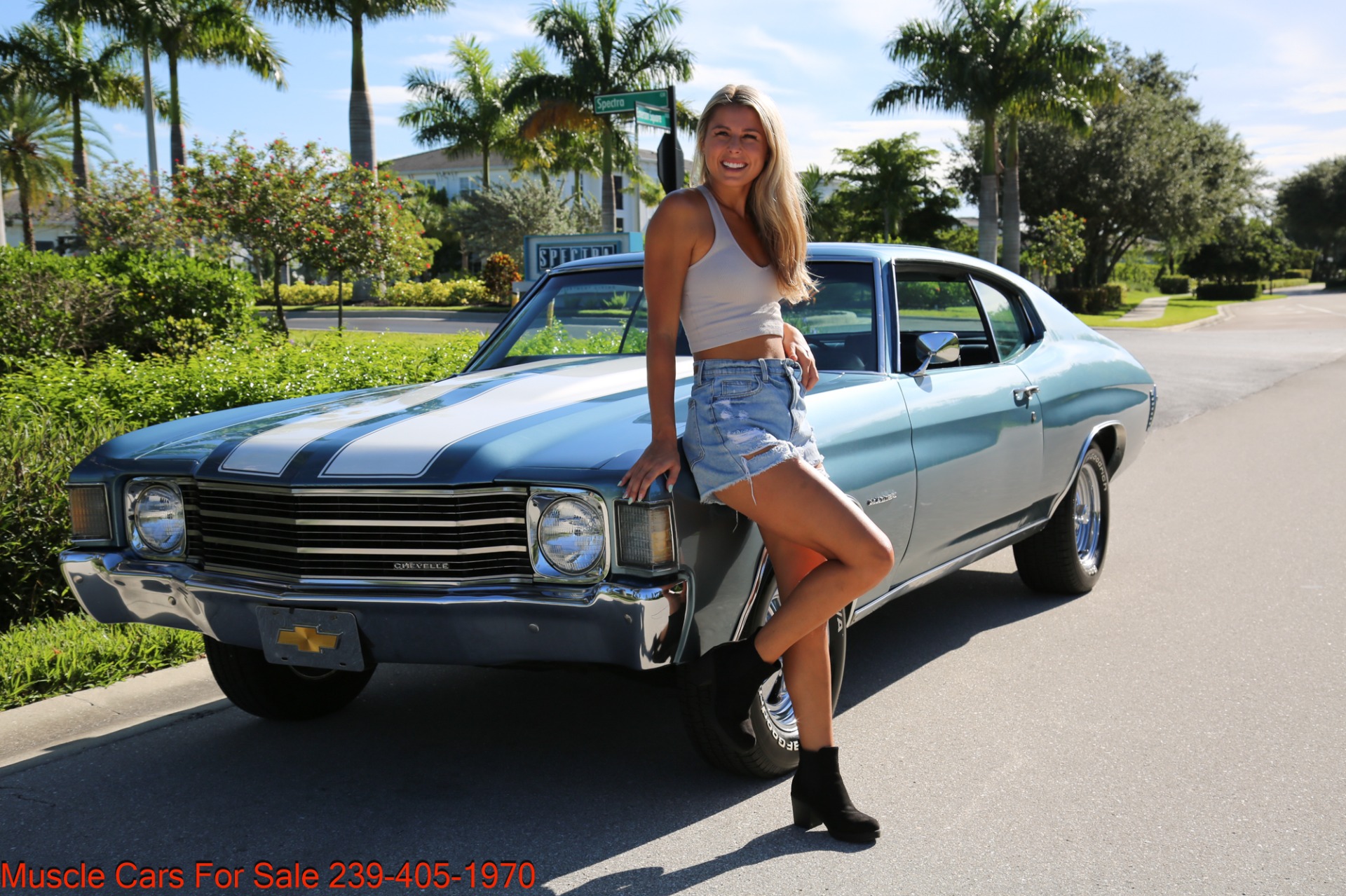 Used 1972 Chevrolet Chevelle Malibu SS Trim on Malibu for sale Sold at Muscle Cars for Sale Inc. in Fort Myers FL 33912 3