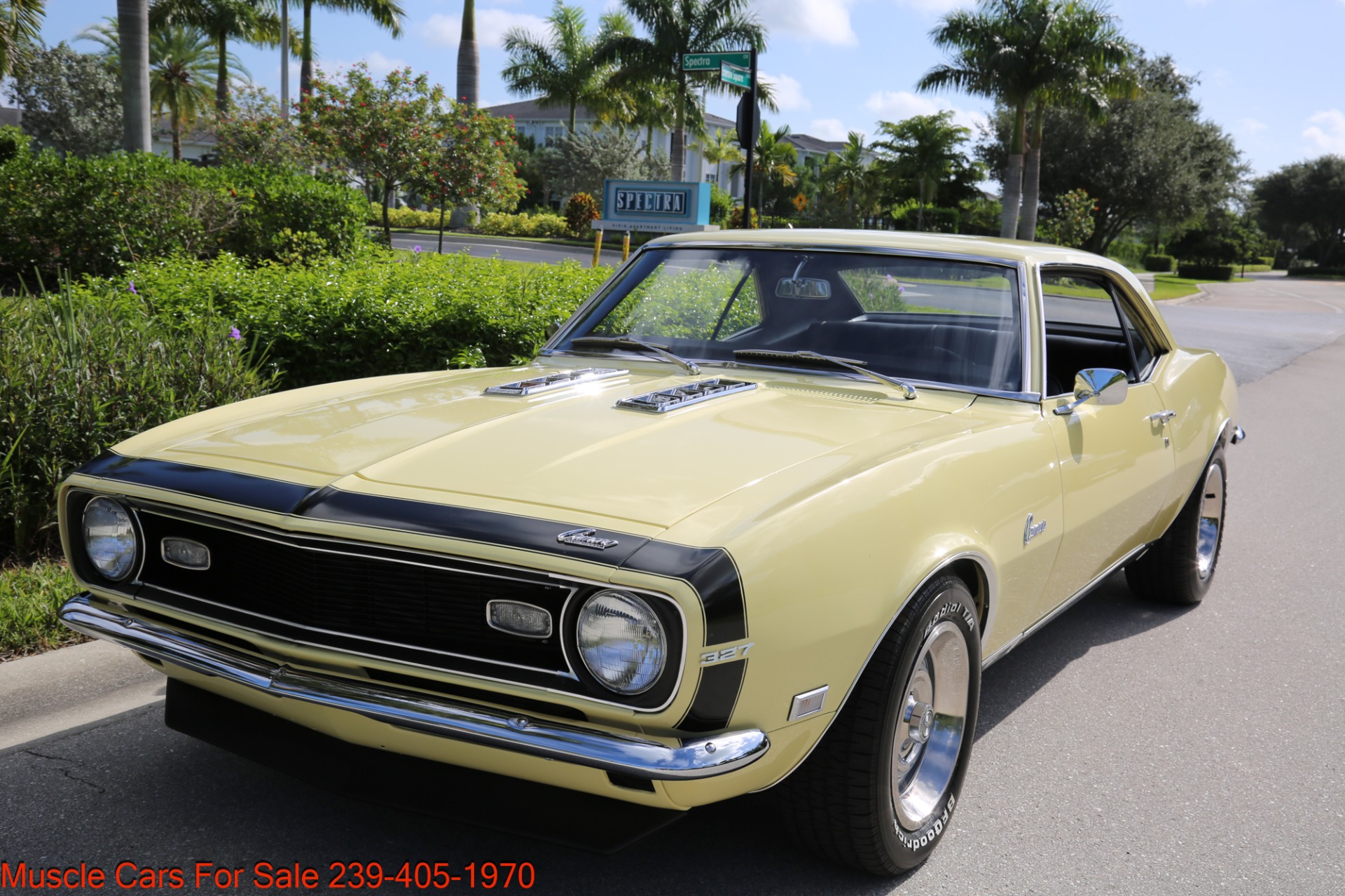 Used 1968 Chevrolet Camaro for sale Sold at Muscle Cars for Sale Inc. in Fort Myers FL 33912 2