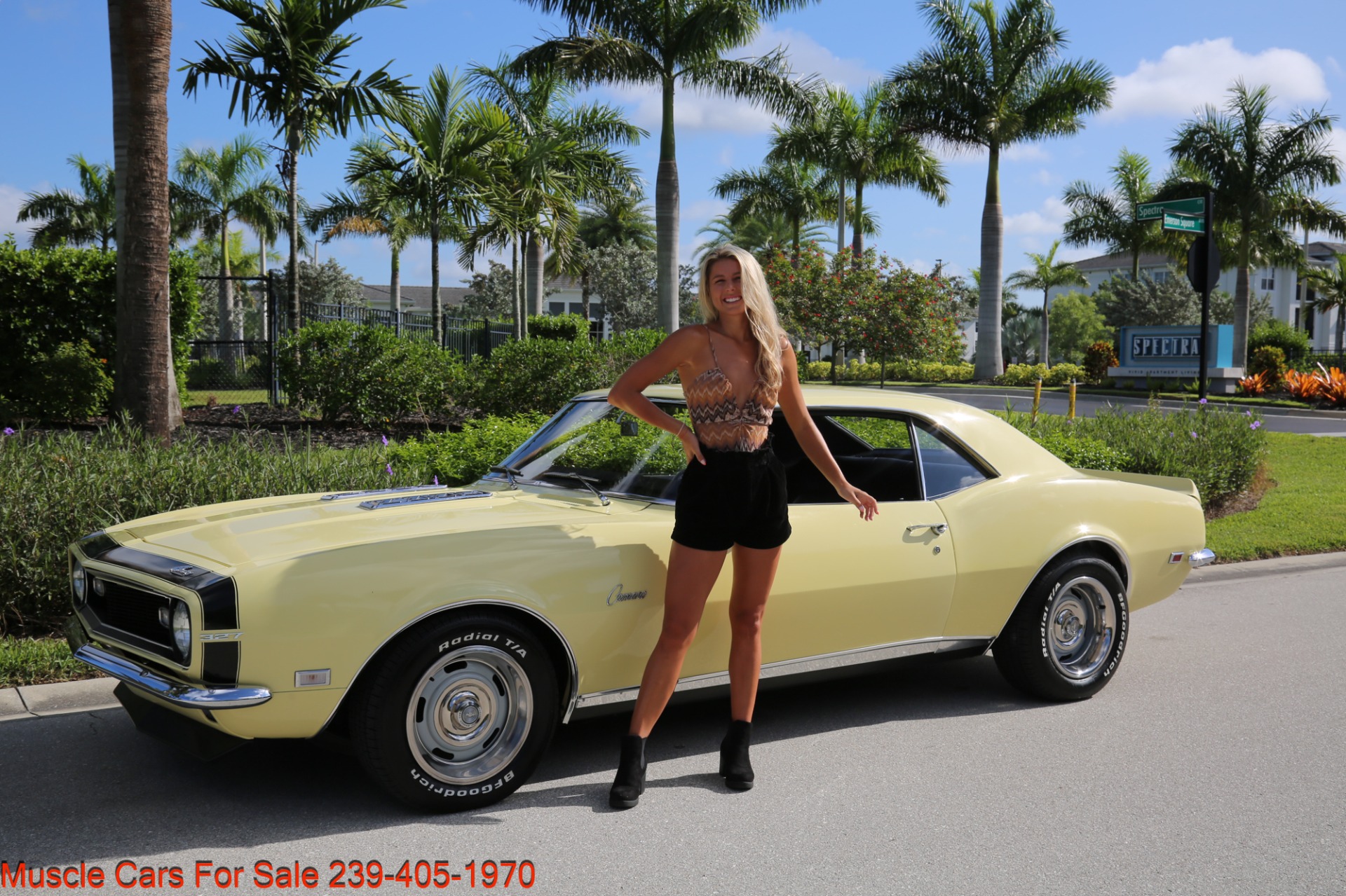Used 1968 Chevrolet Camaro for sale Sold at Muscle Cars for Sale Inc. in Fort Myers FL 33912 7