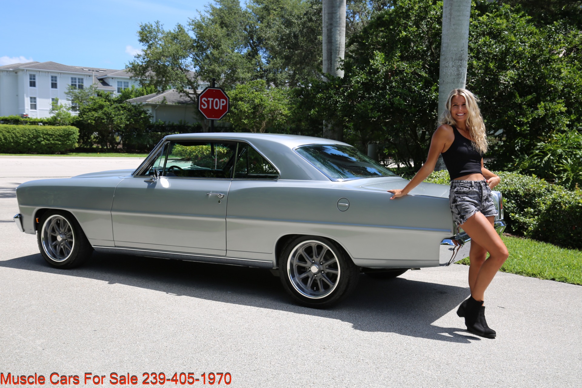 Used 1966 Chevrolet Nova SS for sale Sold at Muscle Cars for Sale Inc. in Fort Myers FL 33912 5