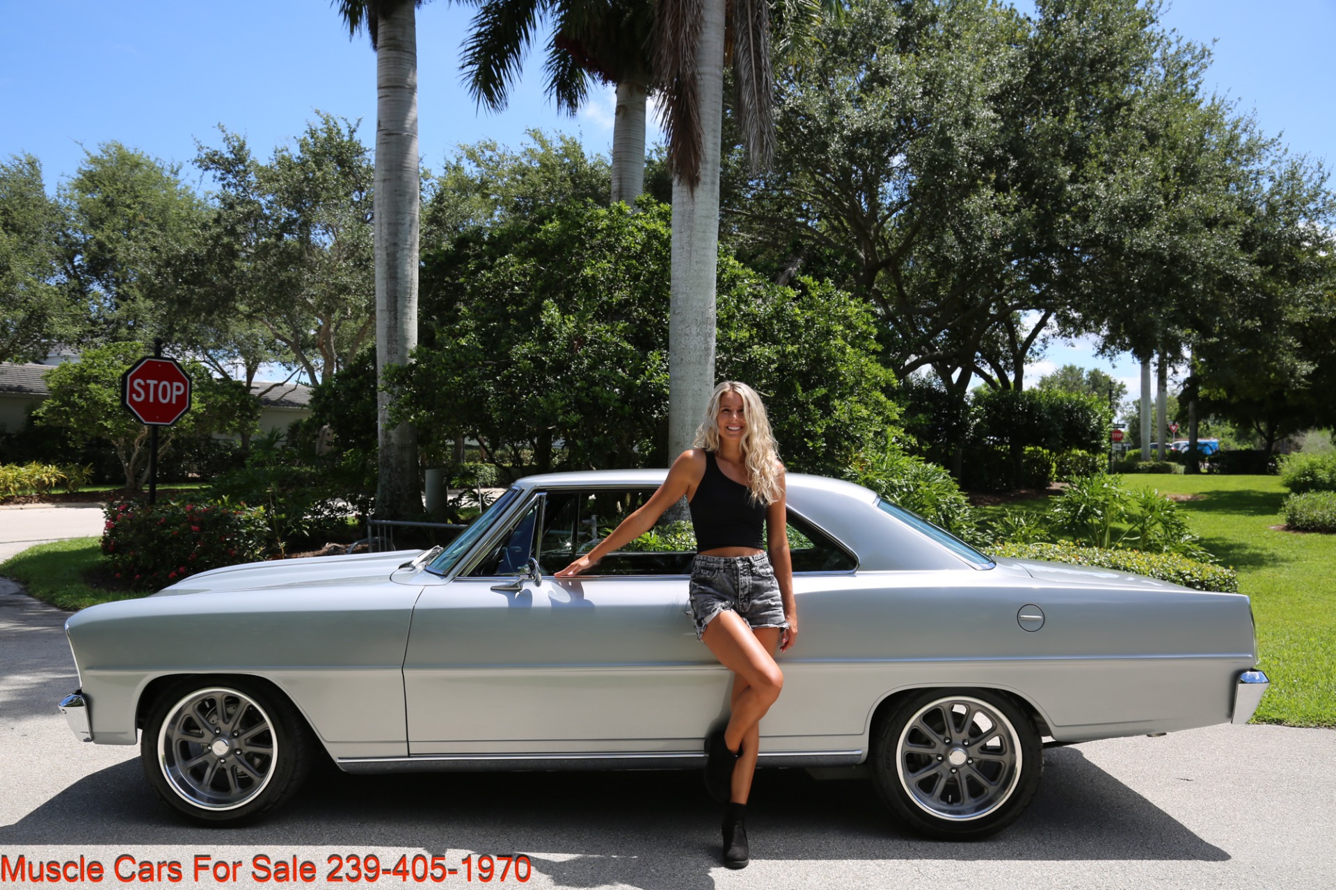 Used 1966 Chevrolet Nova SS for sale Sold at Muscle Cars for Sale Inc. in Fort Myers FL 33912 6
