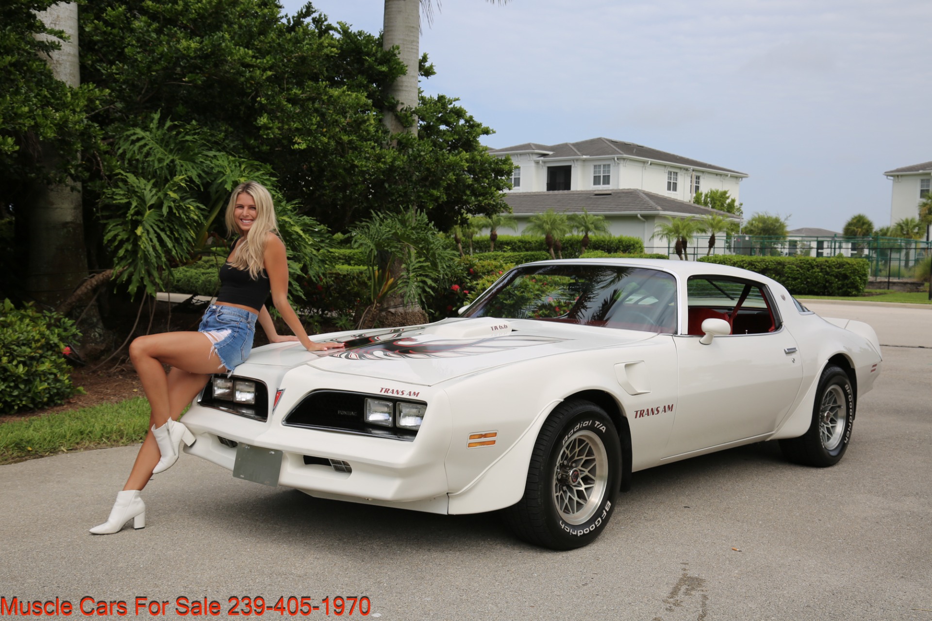 Used 1977 Pontiac Trans Am 6.6 400 CU INCH for sale Sold at Muscle Cars for Sale Inc. in Fort Myers FL 33912 2