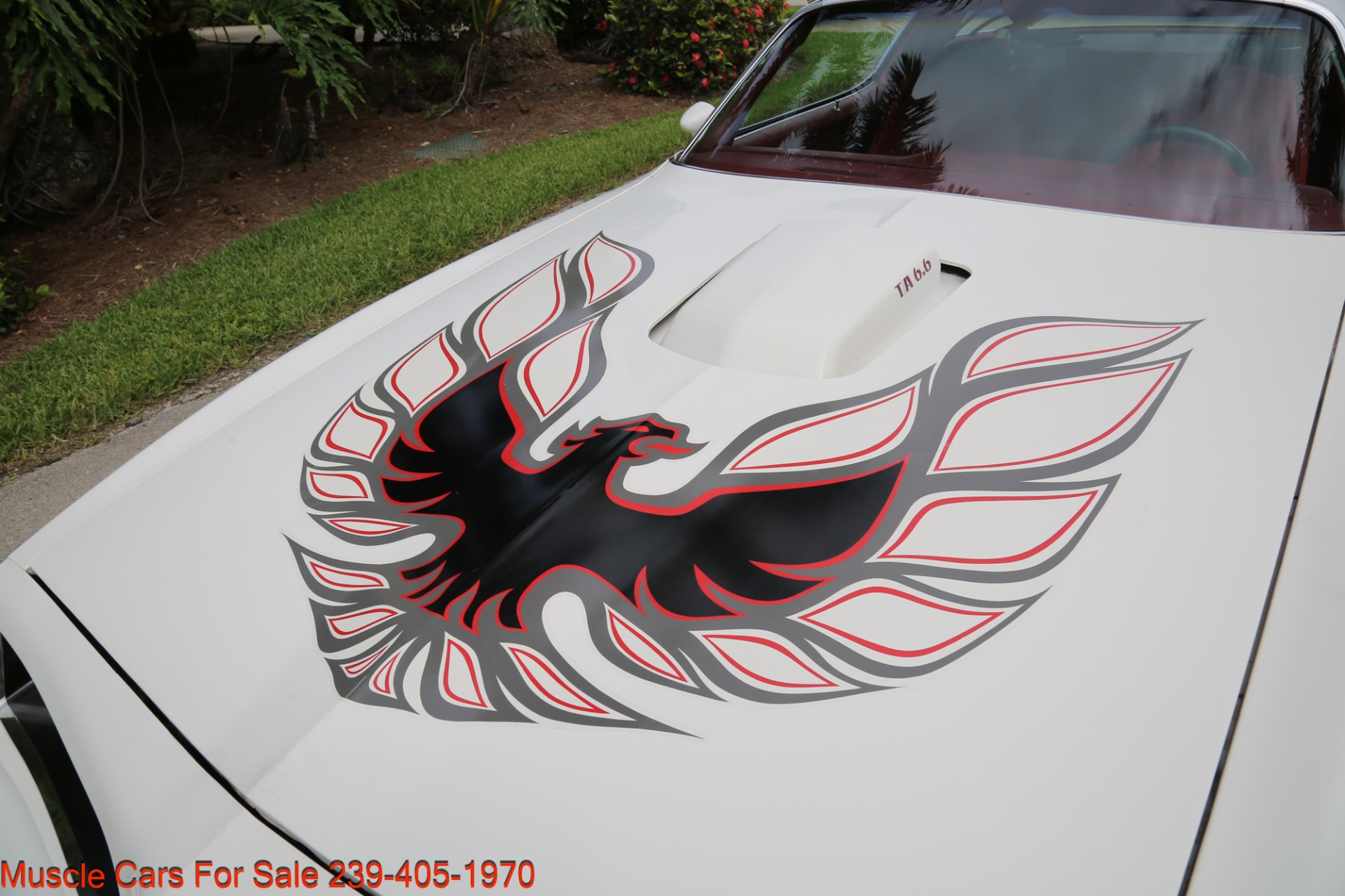 Used 1977 Pontiac Trans Am 6.6 400 CU INCH for sale Sold at Muscle Cars for Sale Inc. in Fort Myers FL 33912 5