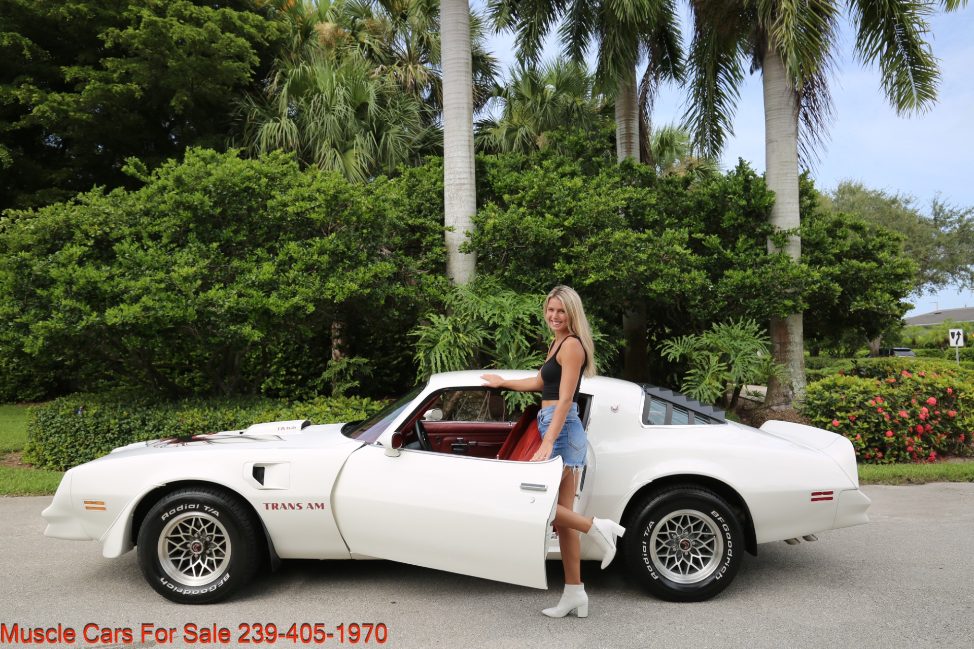 Used 1977 Pontiac Trans Am 6.6 400 CU INCH for sale Sold at Muscle Cars for Sale Inc. in Fort Myers FL 33912 6