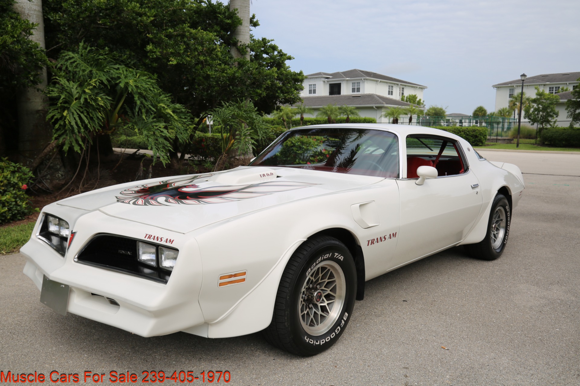 Used 1977 Pontiac Trans Am 6.6 400 CU INCH for sale Sold at Muscle Cars for Sale Inc. in Fort Myers FL 33912 7