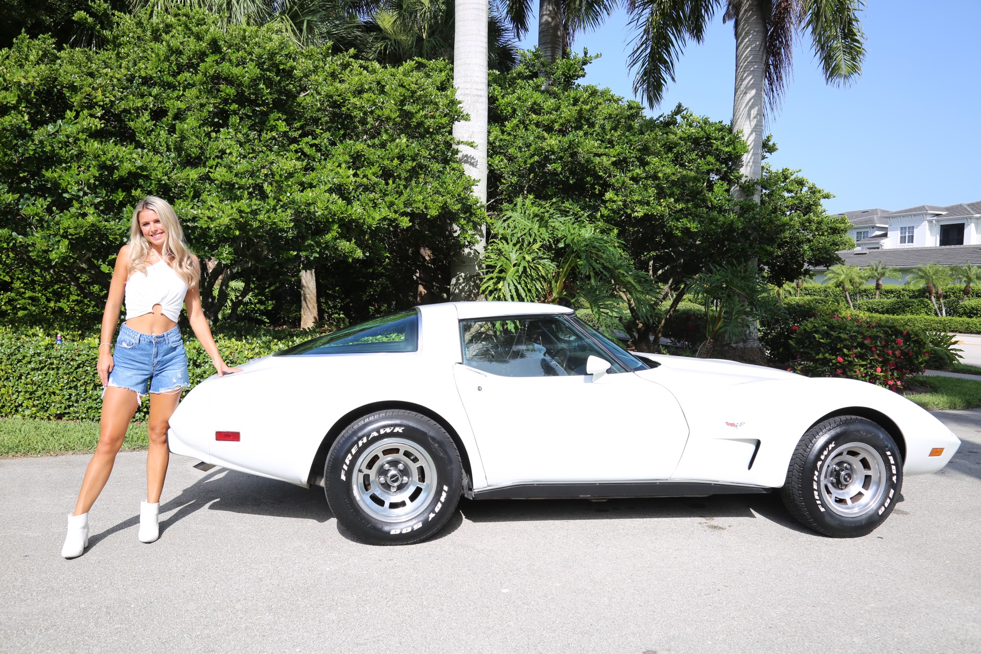 Used 1978 Chevrolet Corvette Anniversary Edition for sale $18,000 at Muscle Cars for Sale Inc. in Fort Myers FL 33912 3